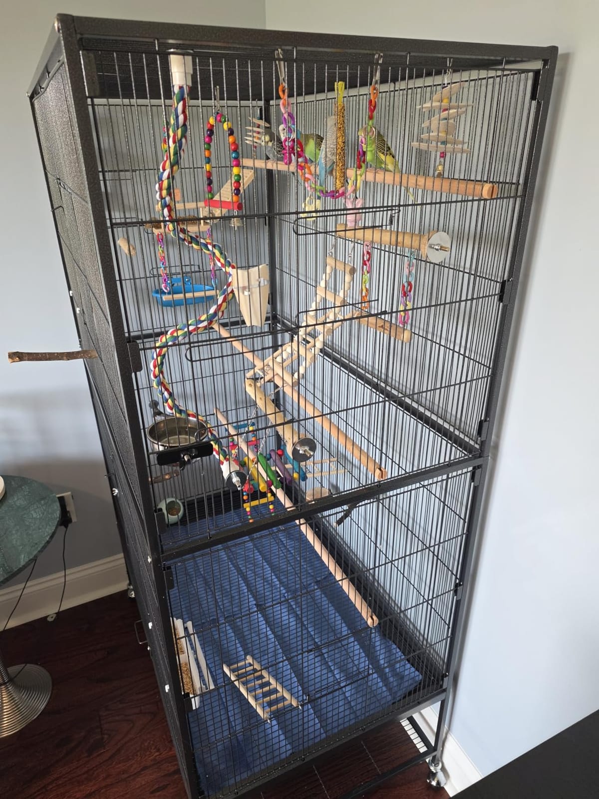 Prevue Pet Products Wrought Iron Bird Flight Cage w/Wheels- L, Chalk White customer photo 2