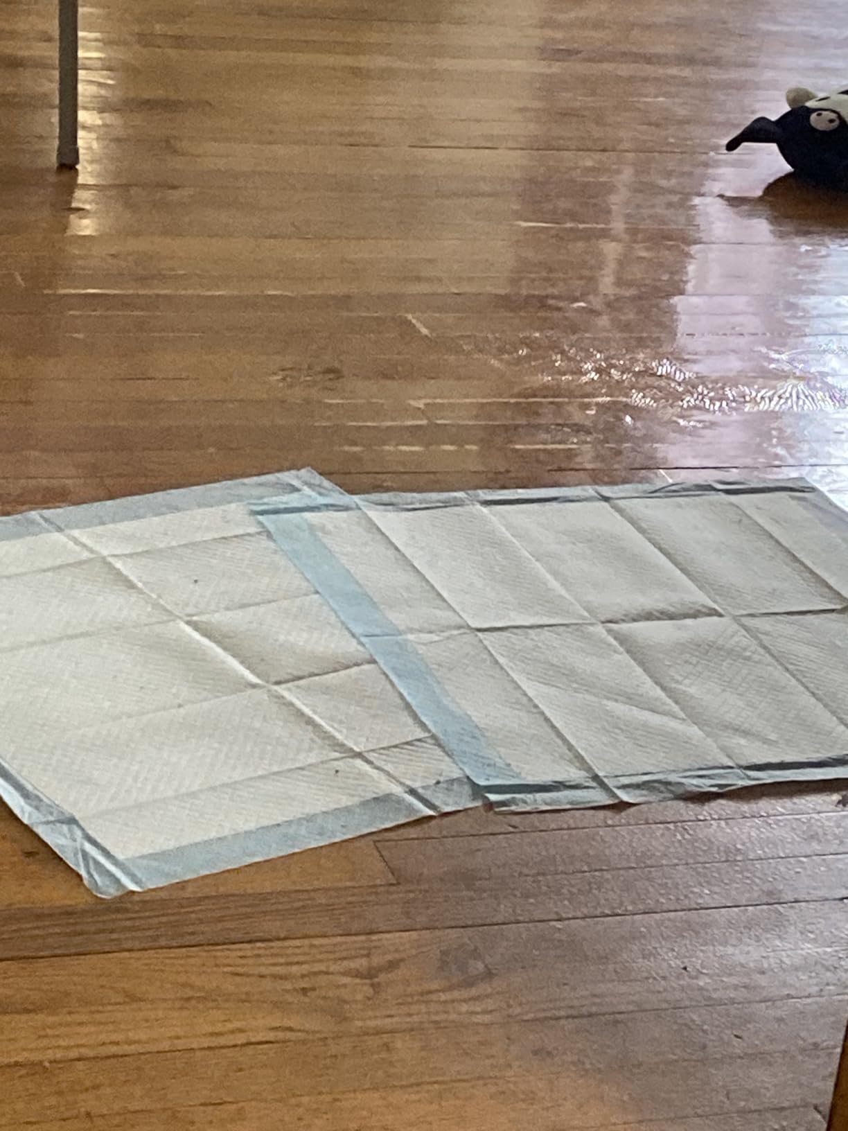 BV Puppy Pads Leak-Proof 100 Count 22