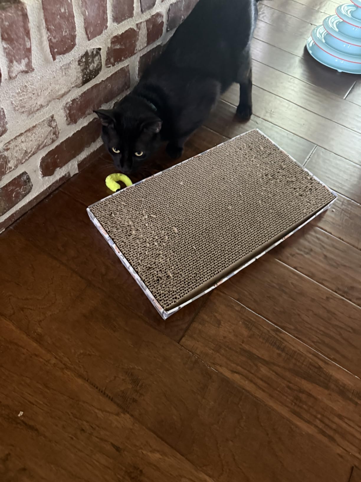 Kitty City XL Wide Corrugate Cat Scratchers 3 Pieces, Cat Scratching, Cat Scratch Pad, Door Clips, Furniture Protectors from Cat Scratching customer photo 1