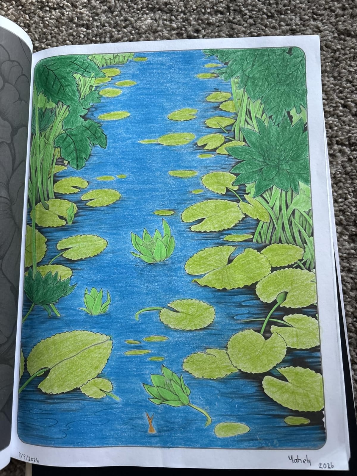 Soucolor 72 Colored Pencils for Adult Coloring Book,Back to School Supplies customer photo 2
