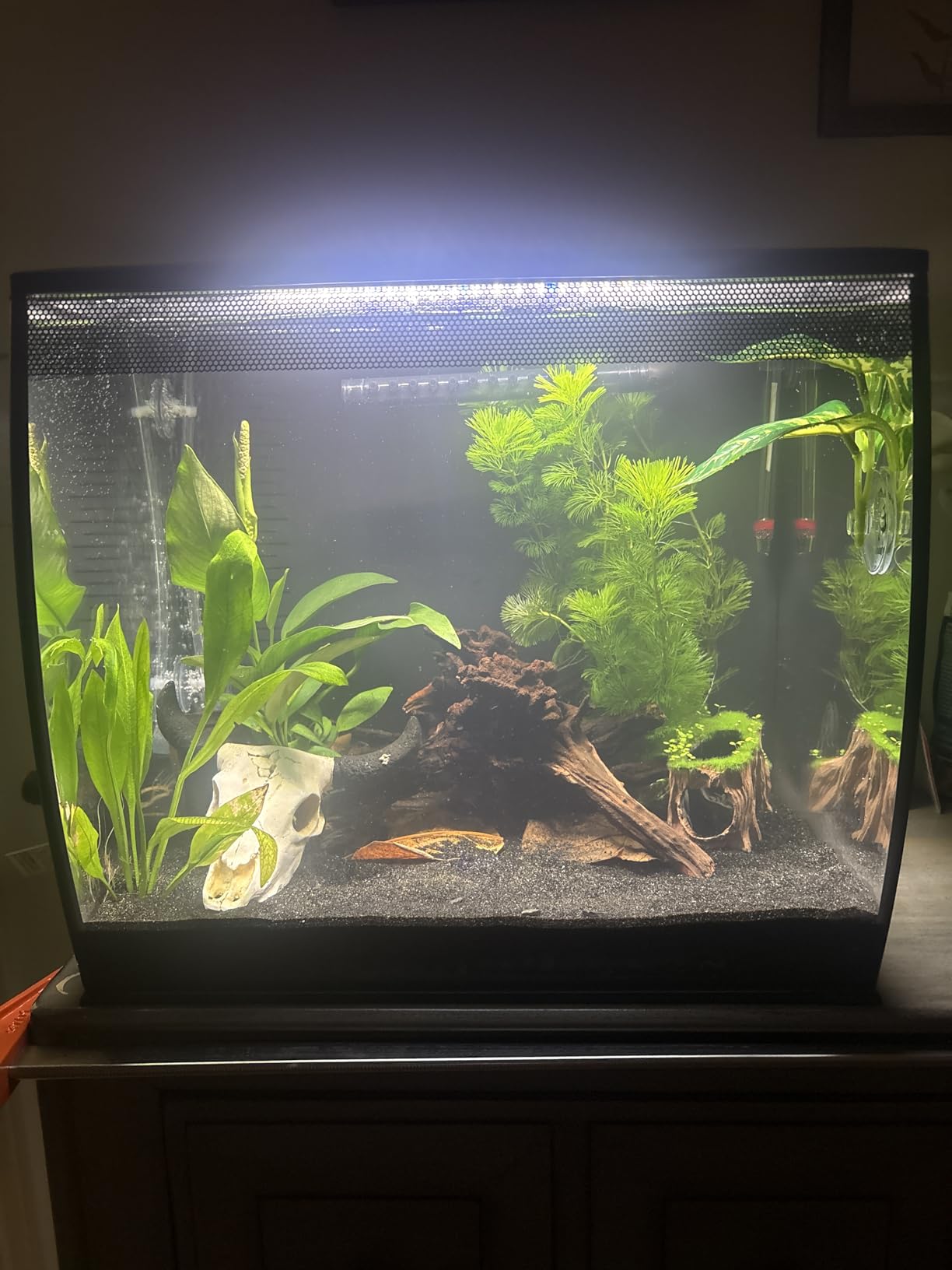Fluval Flex 57 - 15 Gallon Nano Glass Aquarium Kit customer photo 1