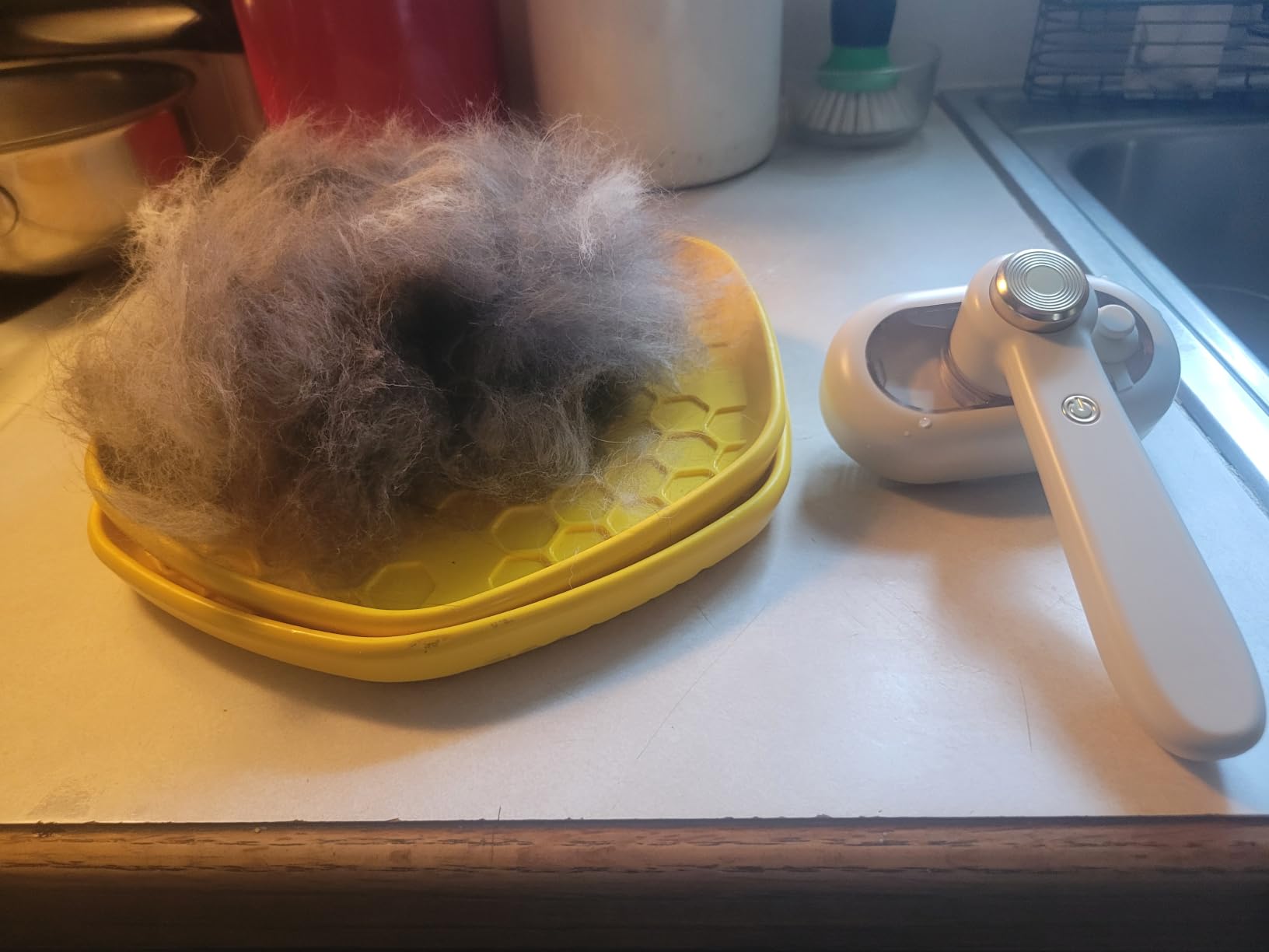 Glendan Dog & Cat Brush- Slicker Pet Brush- Shedding Grooming Tools (Blue) customer photo 1