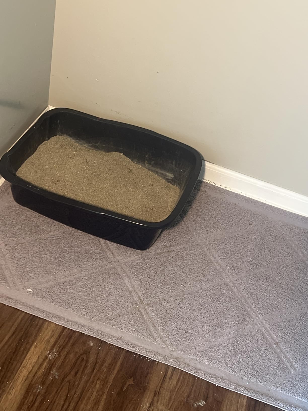 Amazon Basics Less-Mess Litter Trapping Cat Litter Box Mat, Soft on Kitty Paws, Waterproof, Scatter Control, 24