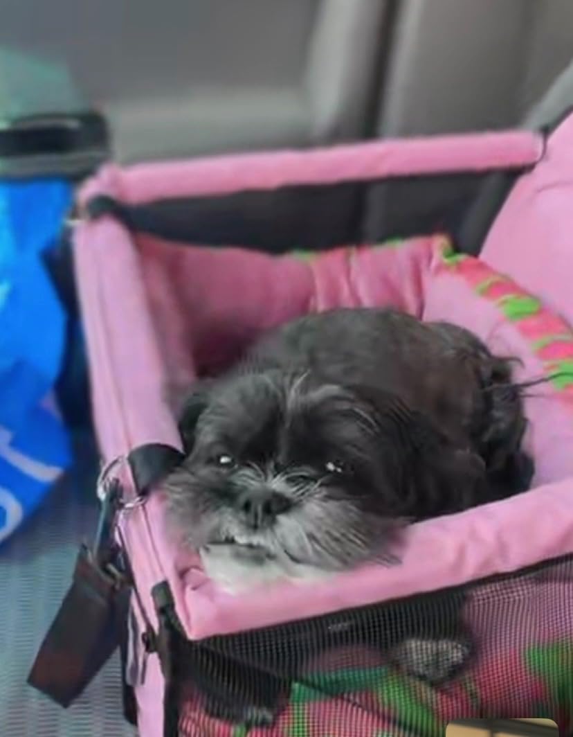Petbobi Dog Car Seat for Small Dogs and Cats up to 15 lbs, Portable Booster customer photo 2