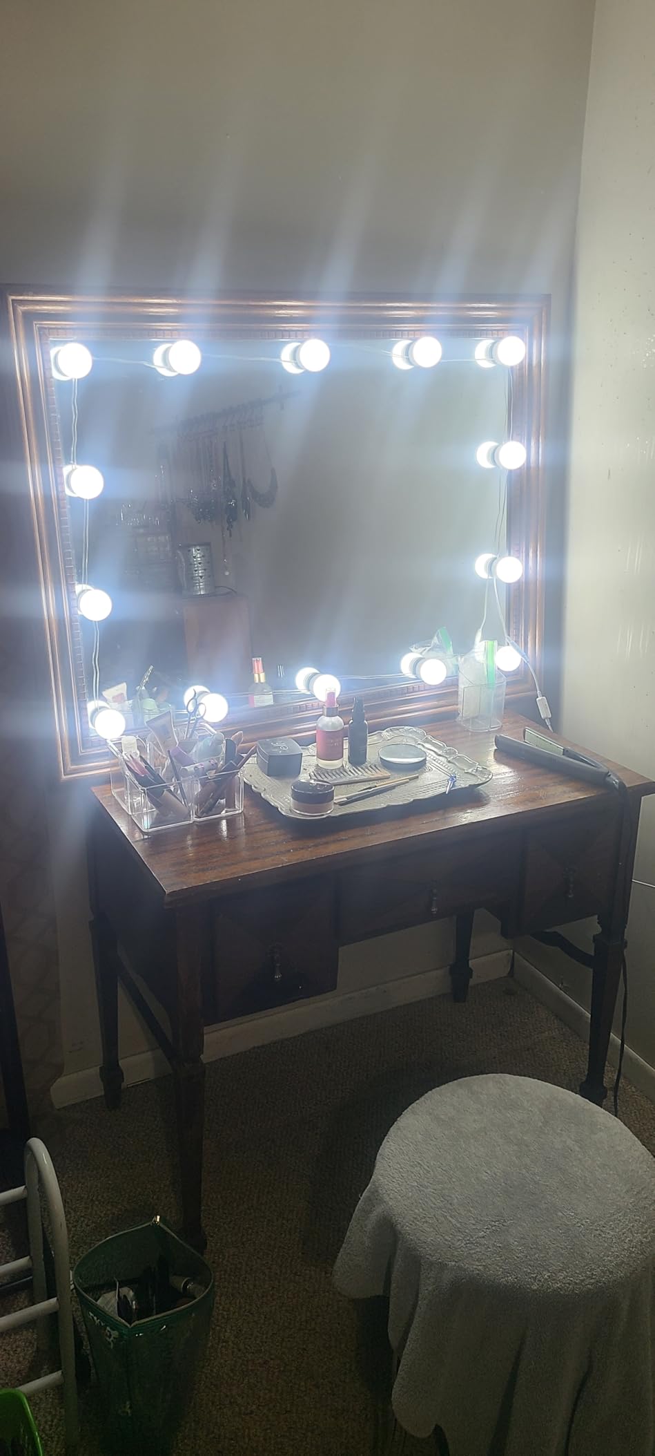 Waneway 14 Bulb Vanity Lights for Mirror, Plug-in Power Adapter & Touch Dimmer, 6,000K, 1350 Lumens (Mirror Not Included) customer photo 2