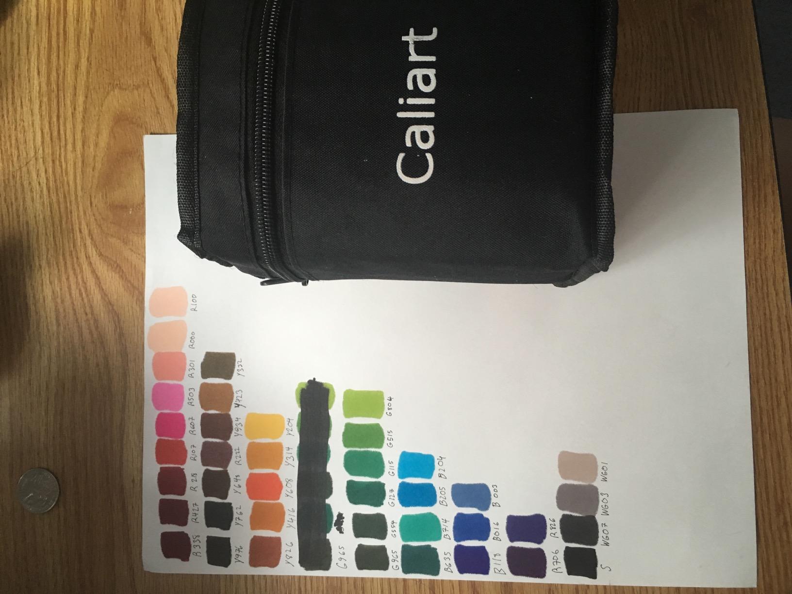 Caliart Alcohol Markers 41 Colors Fine & Chisel Dual Tip Coloring Markers customer photo 1