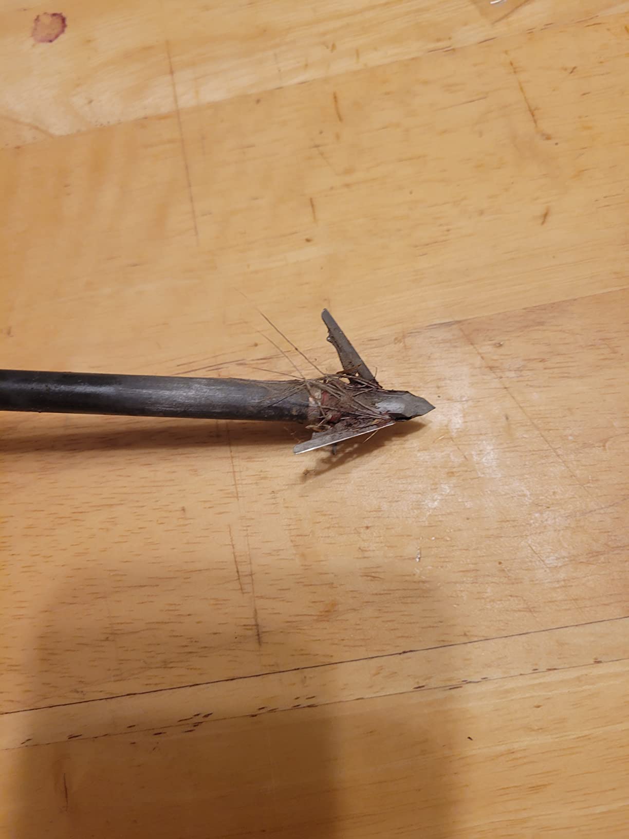 G5 Deadmeat V2 3-Blade Expandable Broadheads, 3 Pack, Crossbow customer photo 2