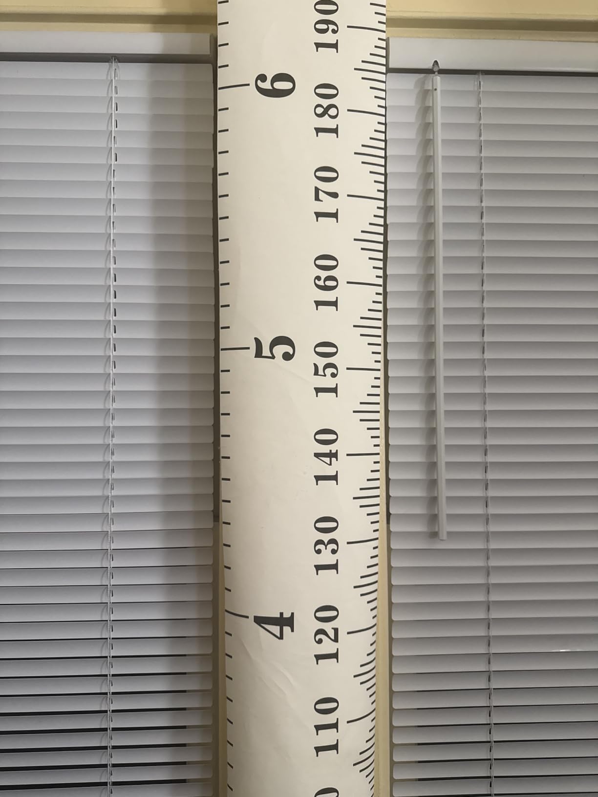 MIBOTE Growth Height Chart for Kids, Removable 79