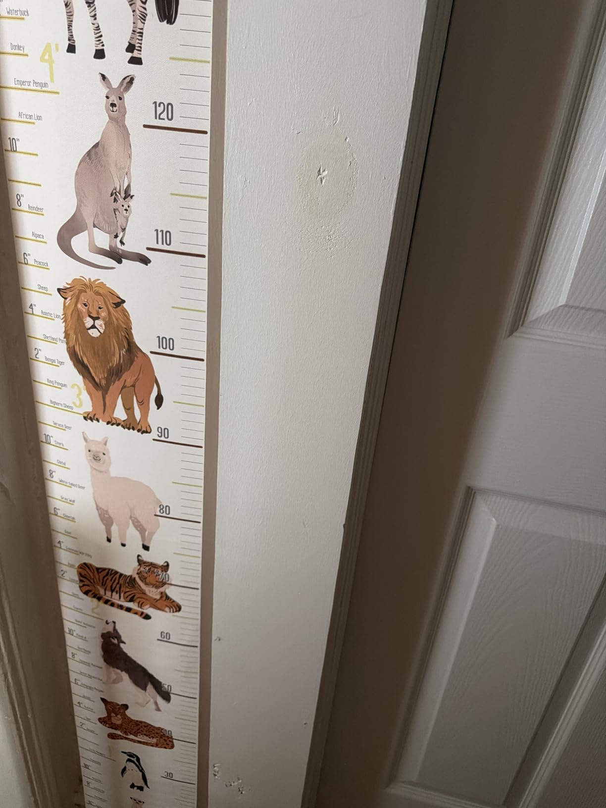 MIBOTE Growth Height Chart for Kids, Removable 79