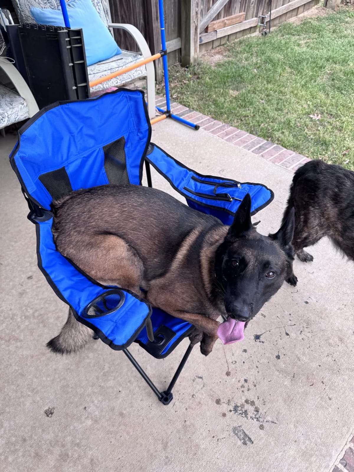 Amazon Basics Camping Chair customer photo 2