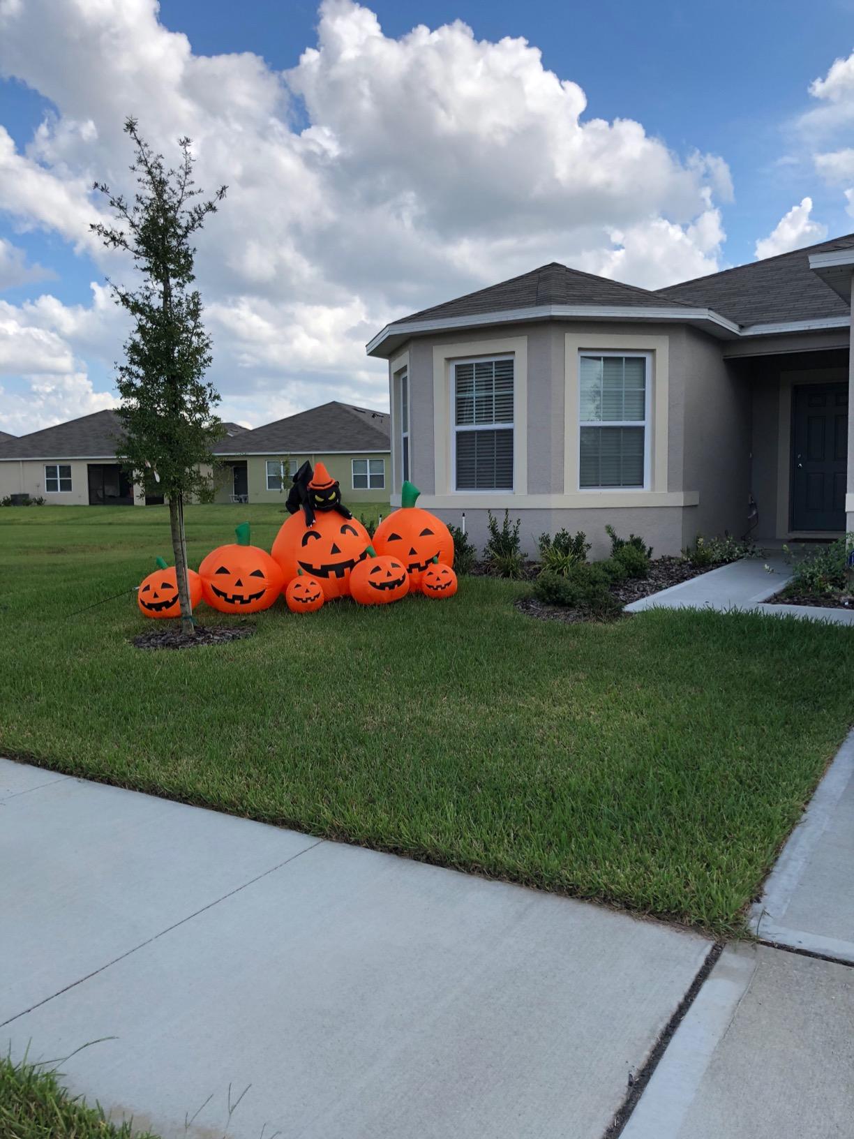 Joiedomi 7 FT Long Halloween Inflatables Pumpkin Outdoor Decorations, 7 Pumpkins Outside Decoration with Witch's Cat with Build-in LEDs Blow Up Inflatables for Party Yard Lawn Garden Decor customer photo 1