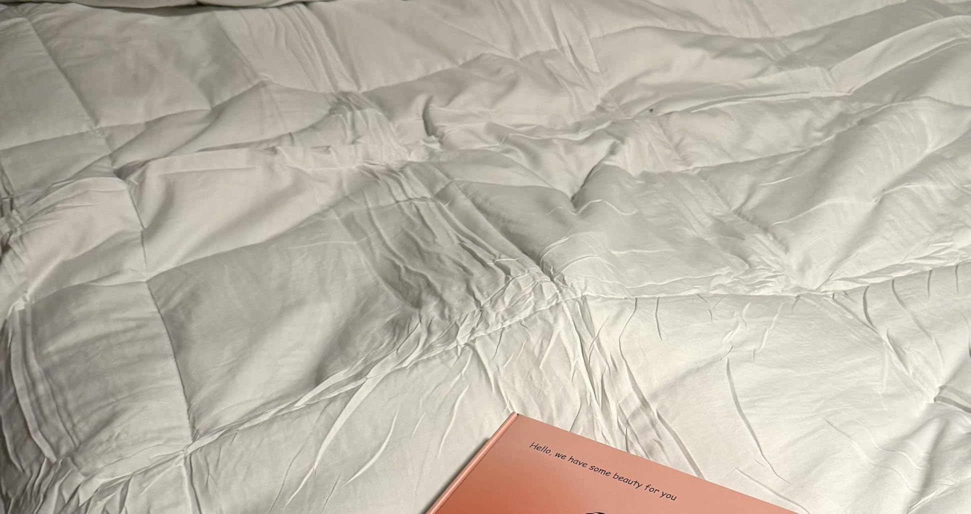 Bare Home Queen Comforter Set - 1800 Ultra Soft (Queen, Light Grey) customer photo 1