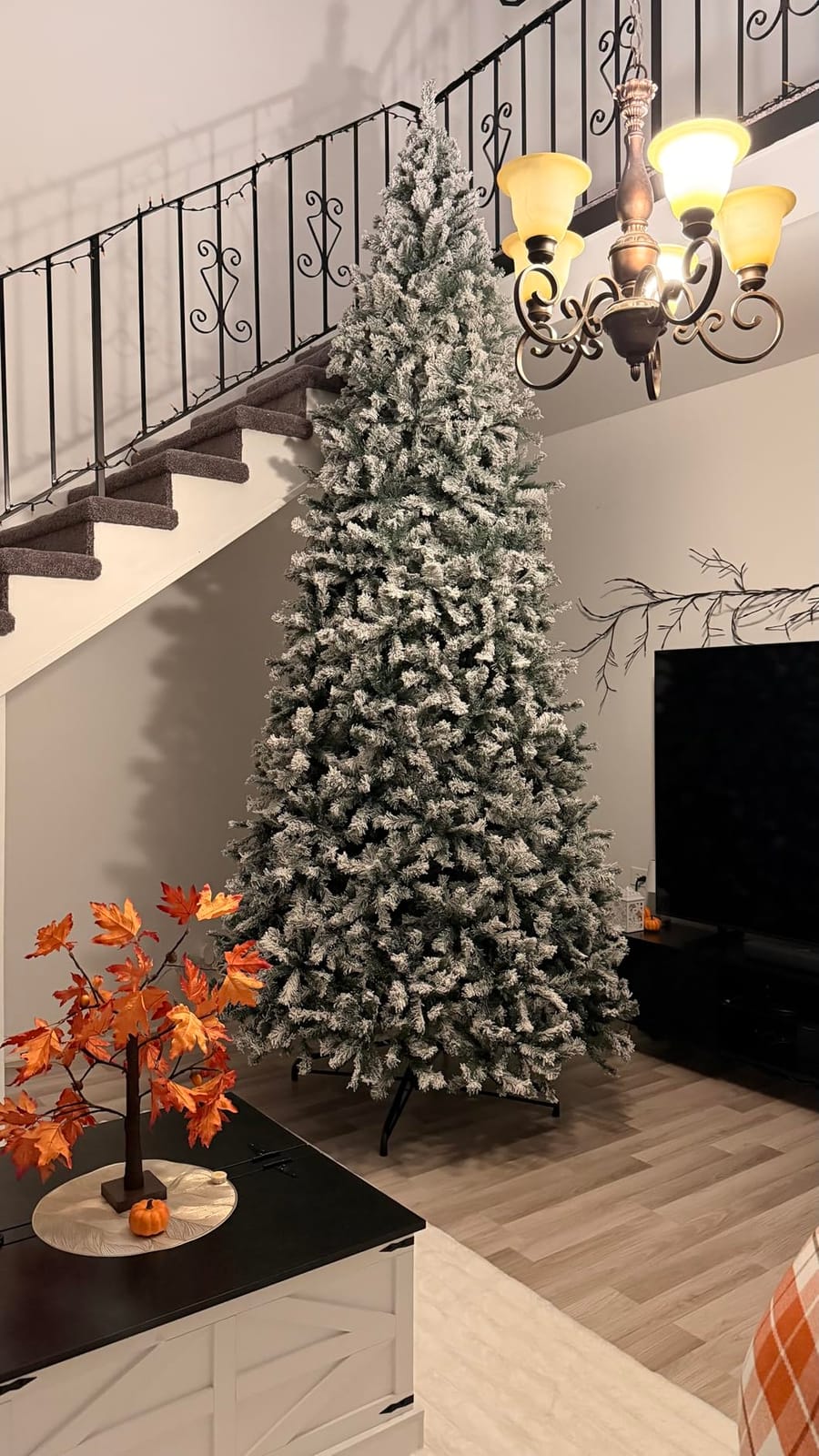 Best Choice Products Artificial Flocked Christmas Tree, 6ft Premium Unlit Pine Holiday Décor w/Full Branches, Metal Stand - Green customer photo 1