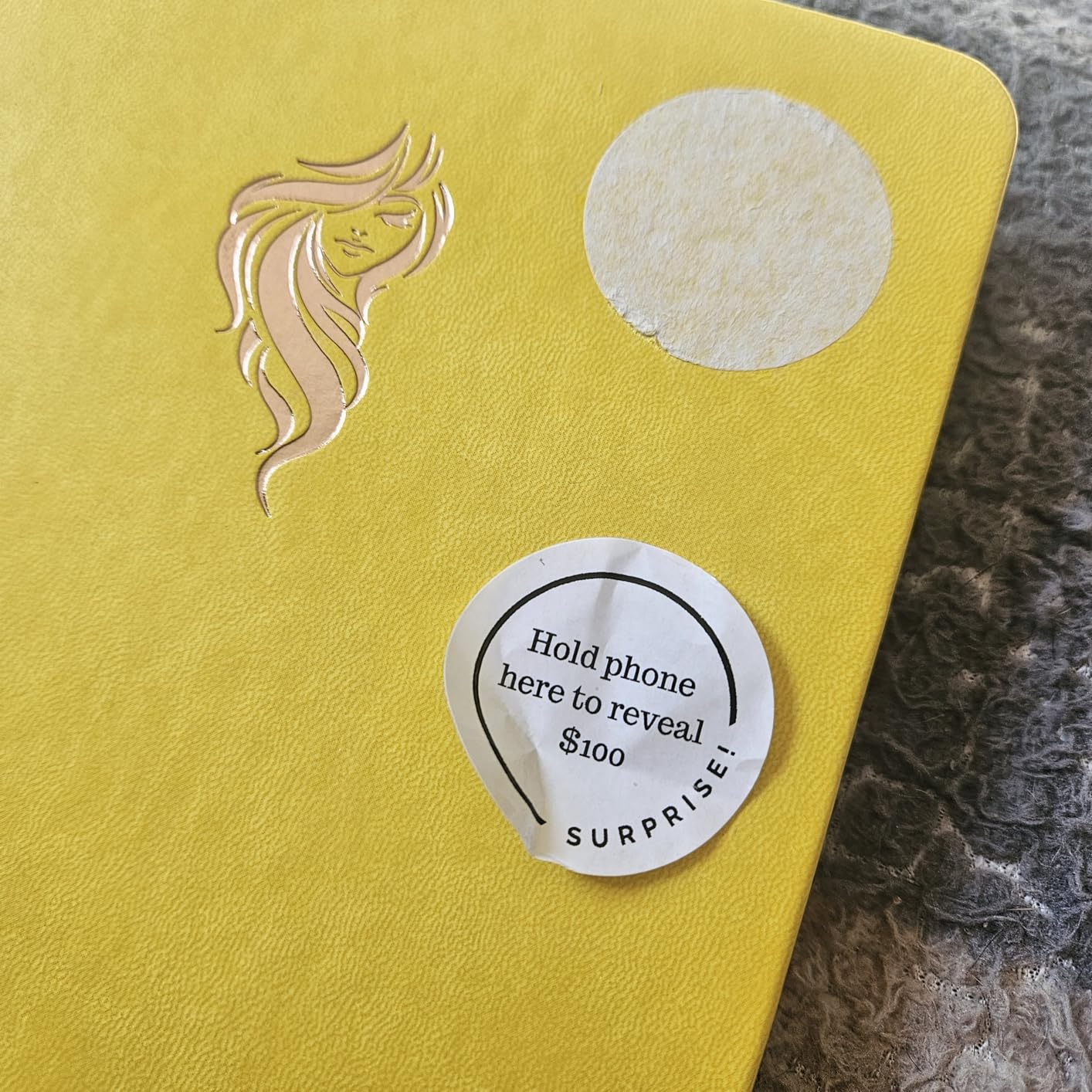Freedom Mastery Daily Journal of Gratitude, Productivity & Habit Tracker customer photo 1