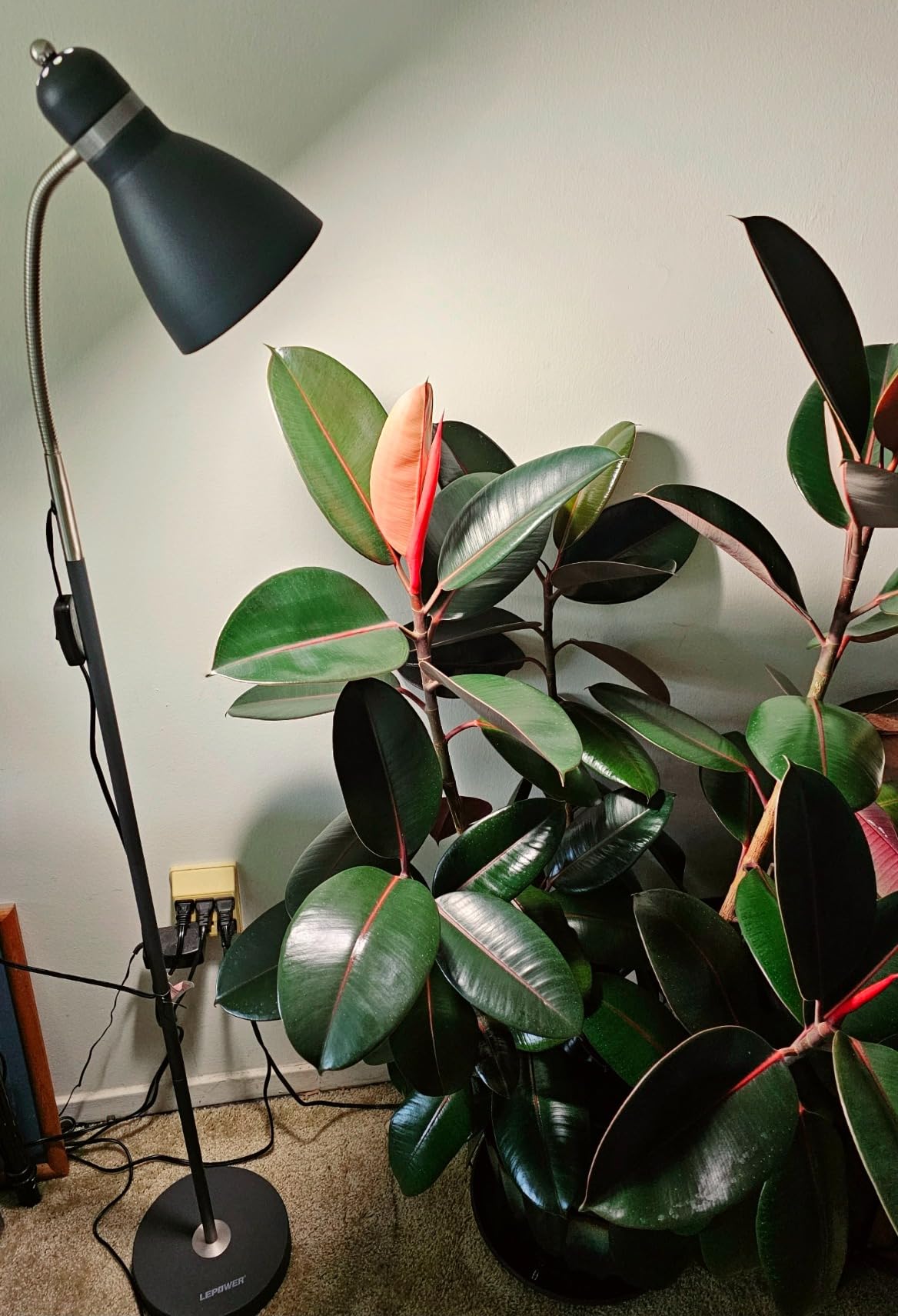 LEPOWER Floor Lamp, Metal Standing Lamp with Adjustable Gooseneck for Dorm customer photo 1