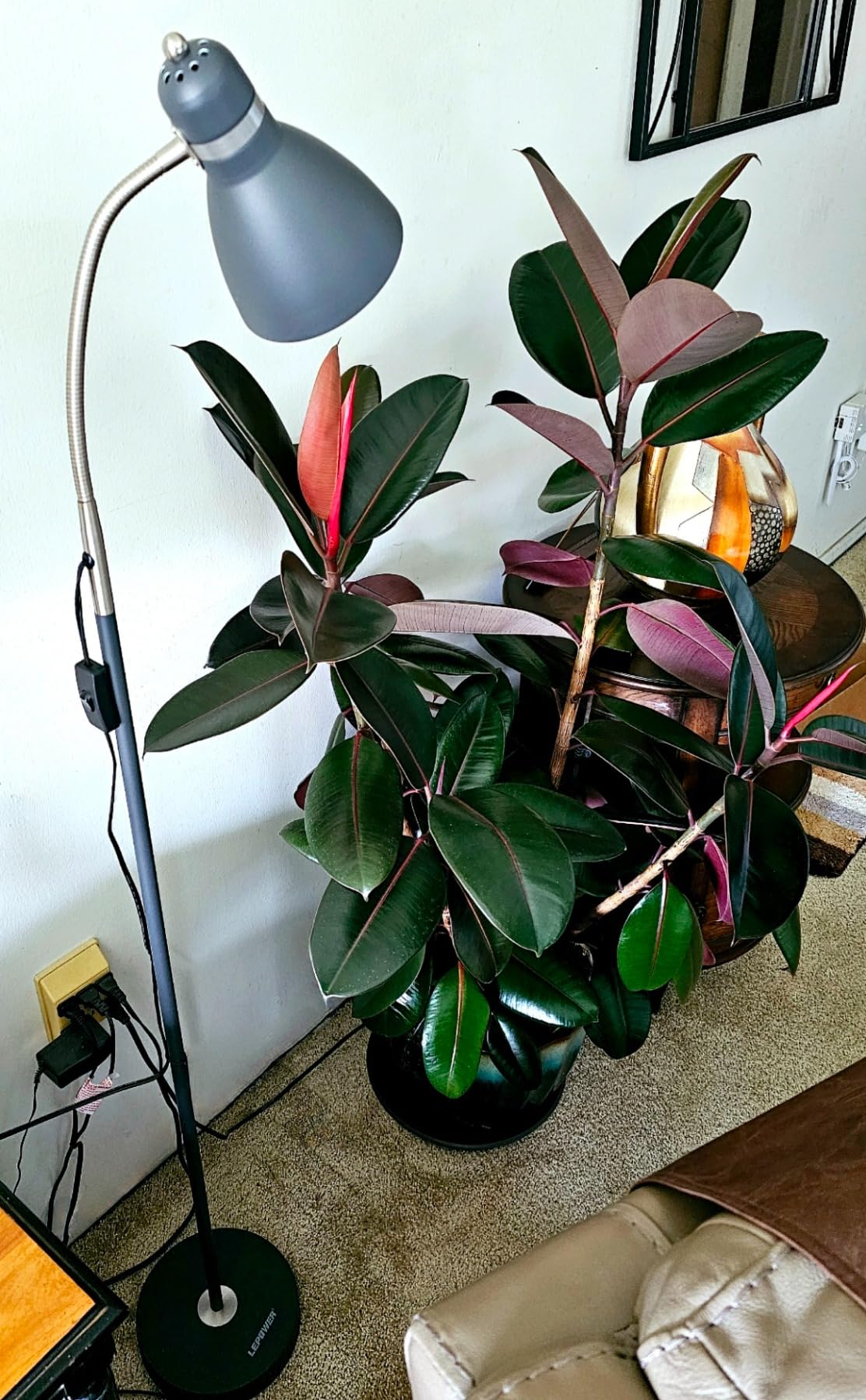 LEPOWER Floor Lamp, Metal Standing Lamp with Adjustable Gooseneck for Dorm customer photo 2