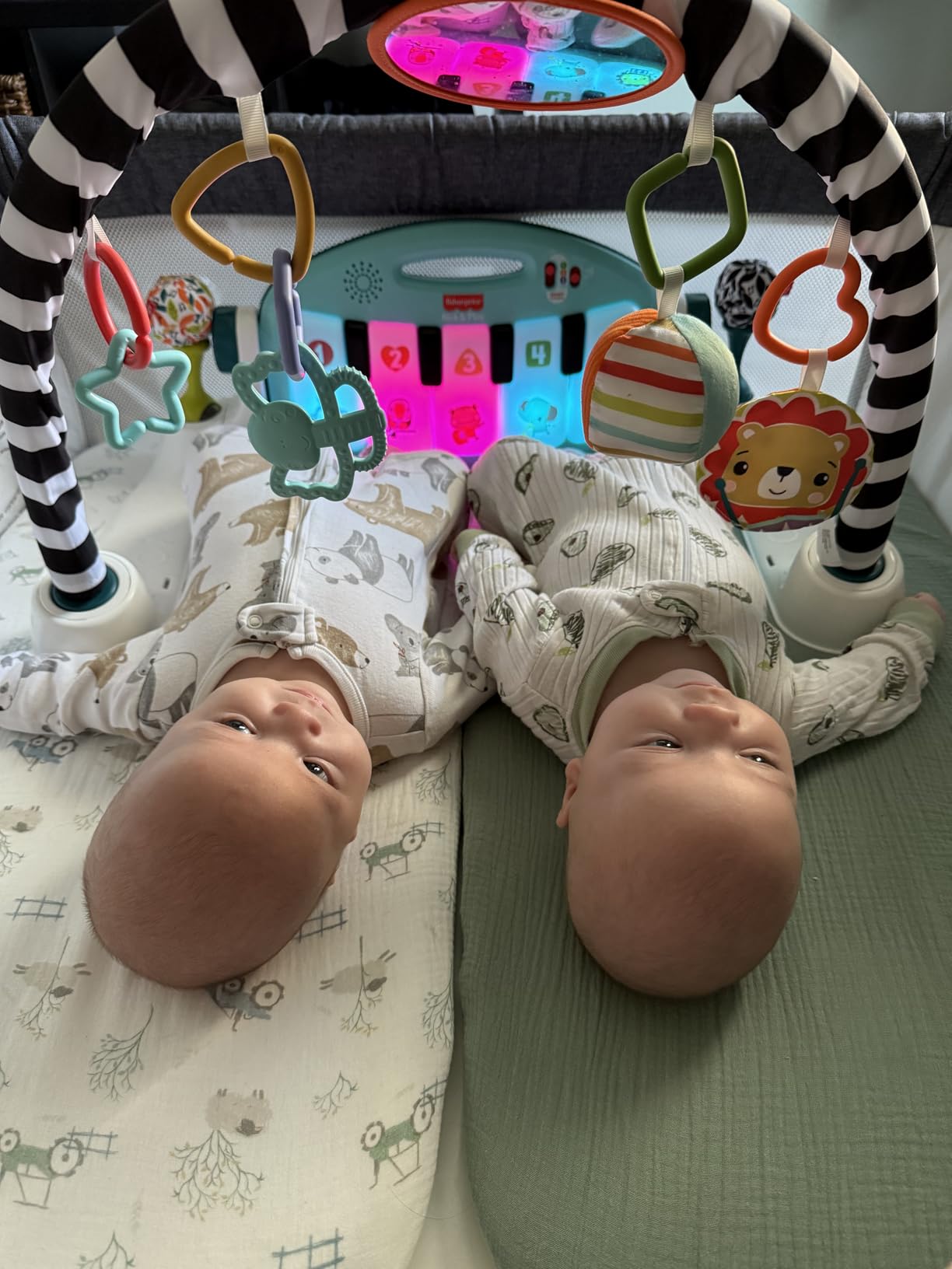 Fisher-Price Baby Playmat Deluxe Kick & Play Piano Gym for Learning & 2 Maracas Soft Rattles for Newborn to Toddler Play Ages 0+ Months customer photo 2