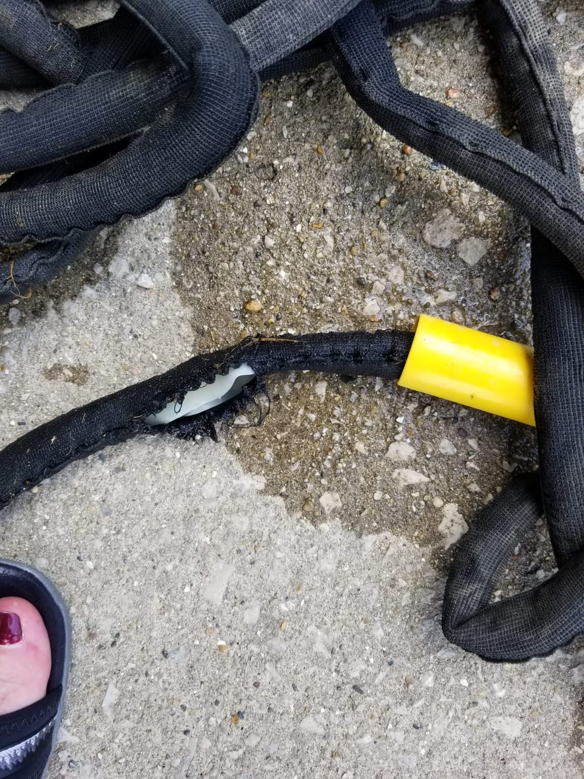Stanley DuraflexPro Expanding Garden Hose, 50 Feet customer photo 2
