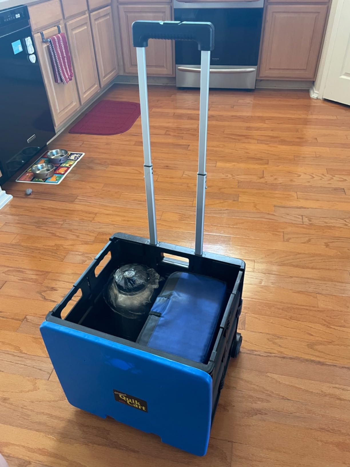 dbest Products Quik Cart Standard Collapsible Rolling Crate - Blue Lid customer photo 2