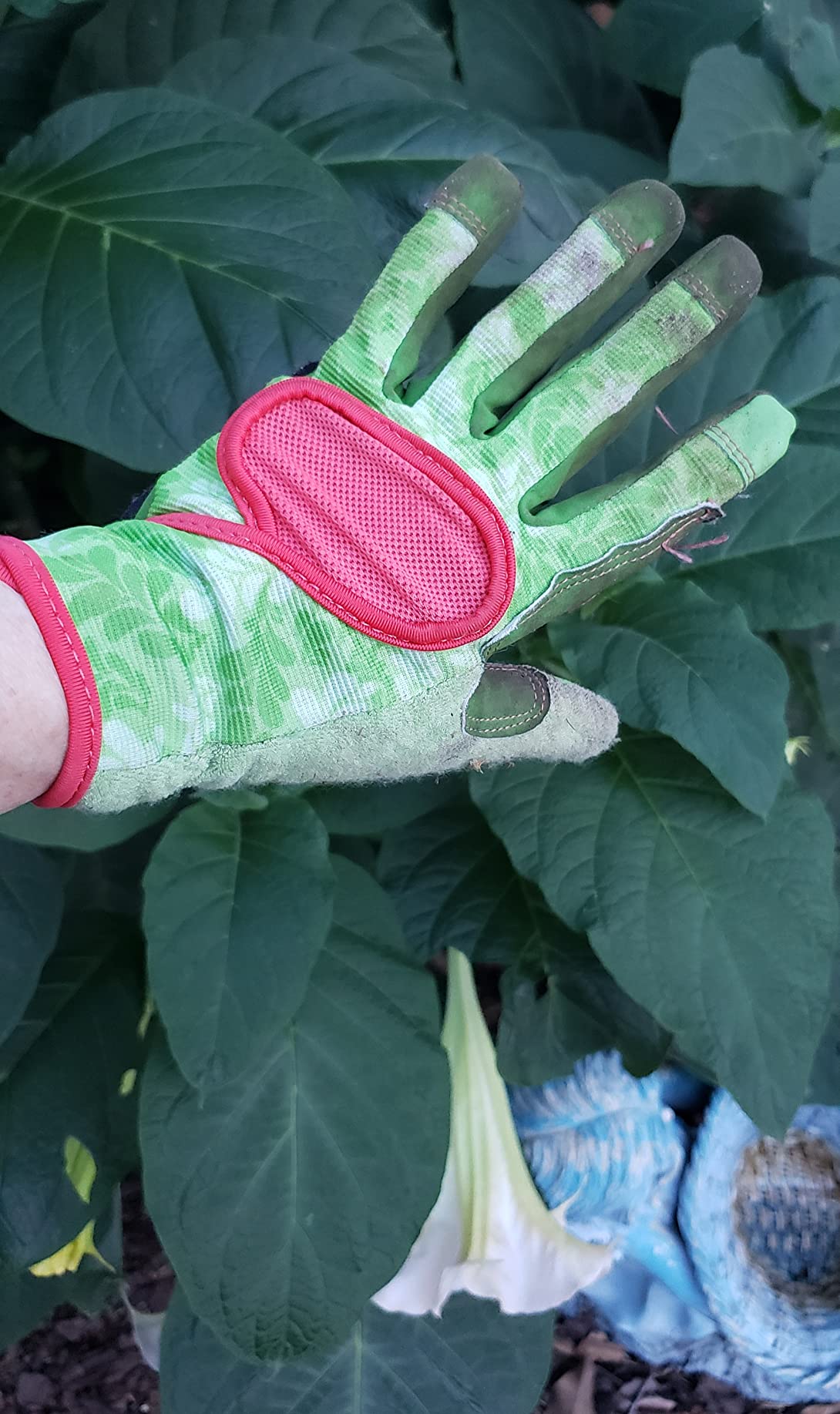 Digz Gardening Gloves, Garden Gloves for Women customer photo 1