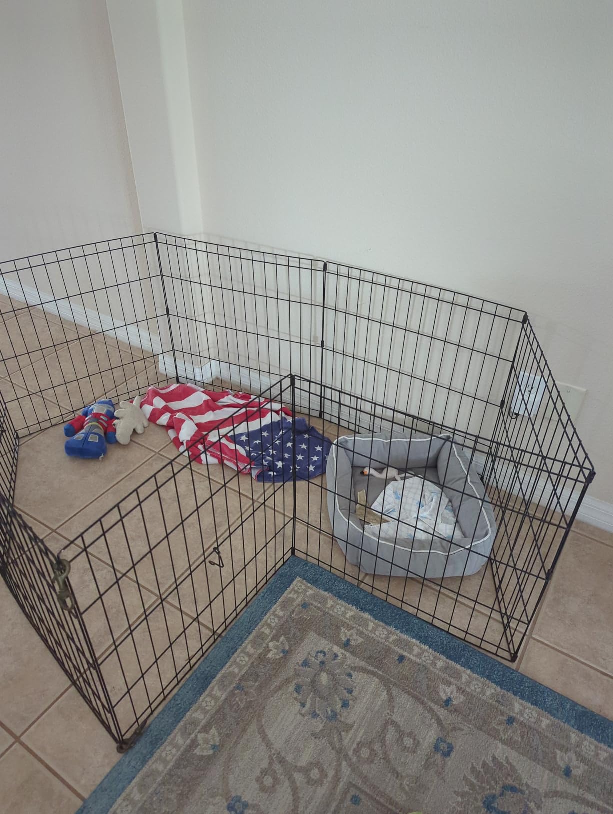 New World by MidWest 24-Inch Exercise Pen, No Door, 16 Sq Ft Play Area customer photo 2