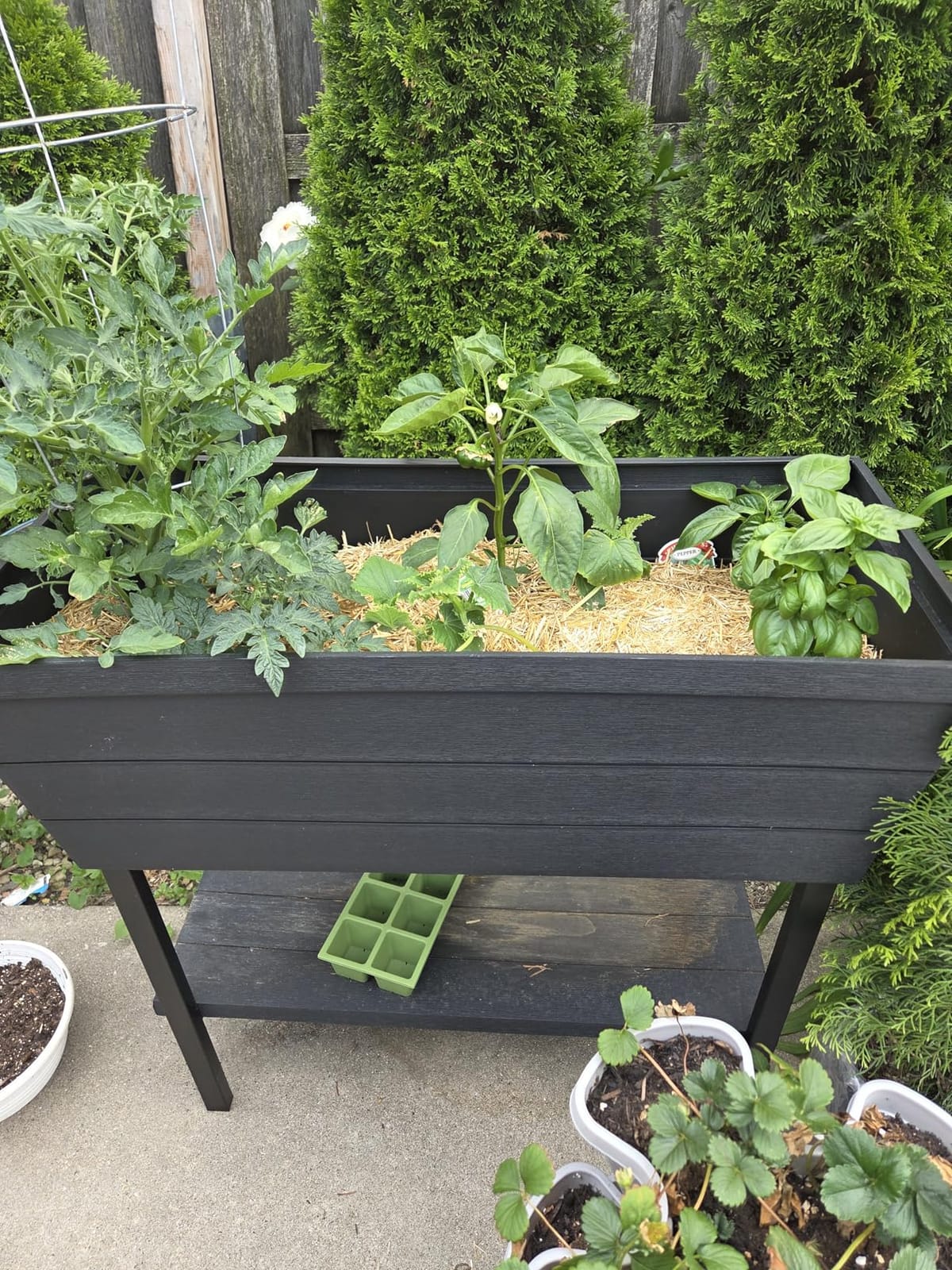 Keter Urban Bloomer 12.7 Gallon Raised Garden Bed and Outdoor Herb Garden Planter with Self Watering Gauge and Drainage Plug, Dark Grey customer photo 2