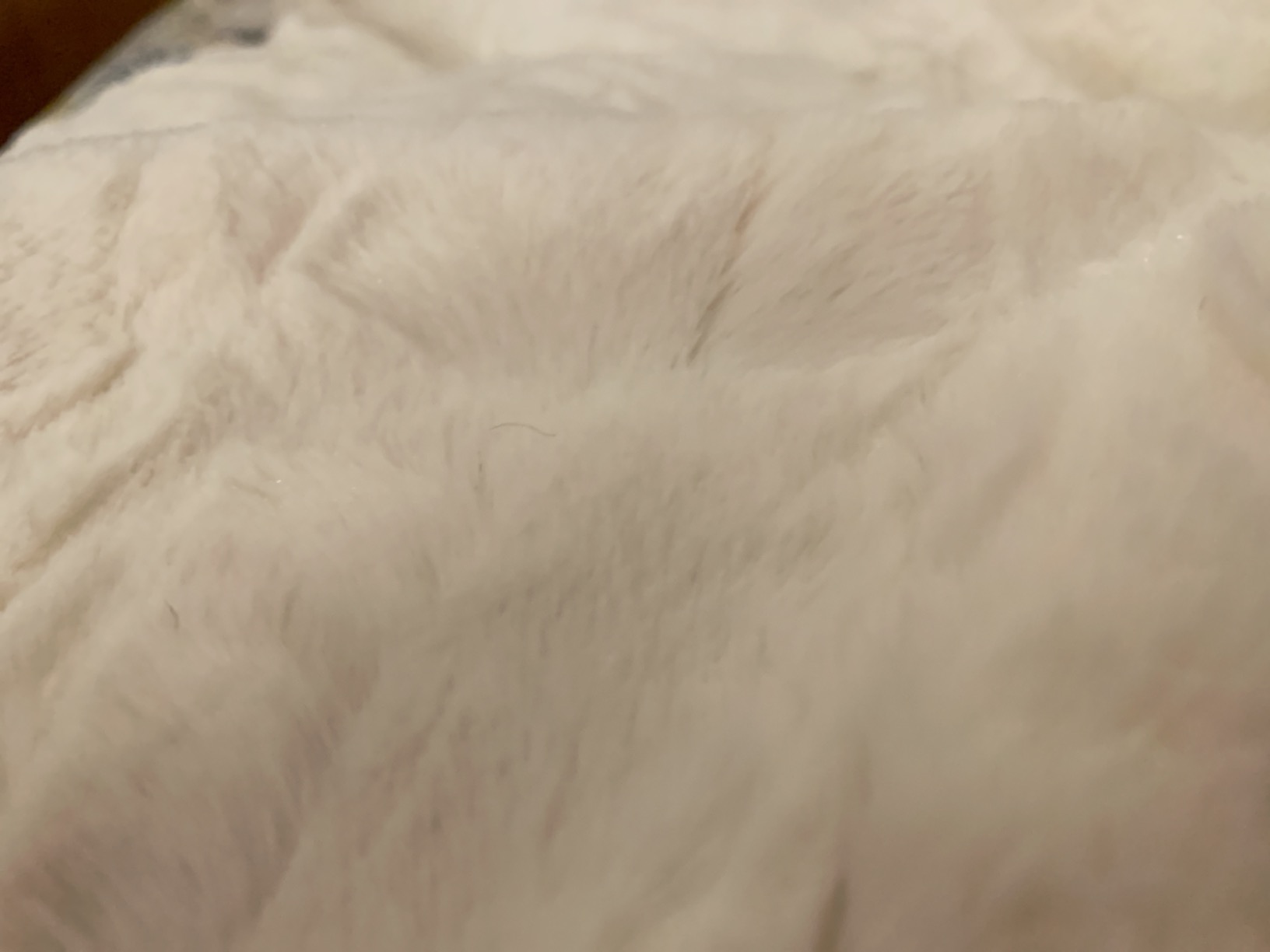 GRACED SOFT LUXURIES Faux Fur Throw Blanket Soft Marbled Ivory 50x60 | Soft faux fur throw blanket with a fluffy texture for cozy comfort on couches, beds, chairs, and home spaces. customer photo 1