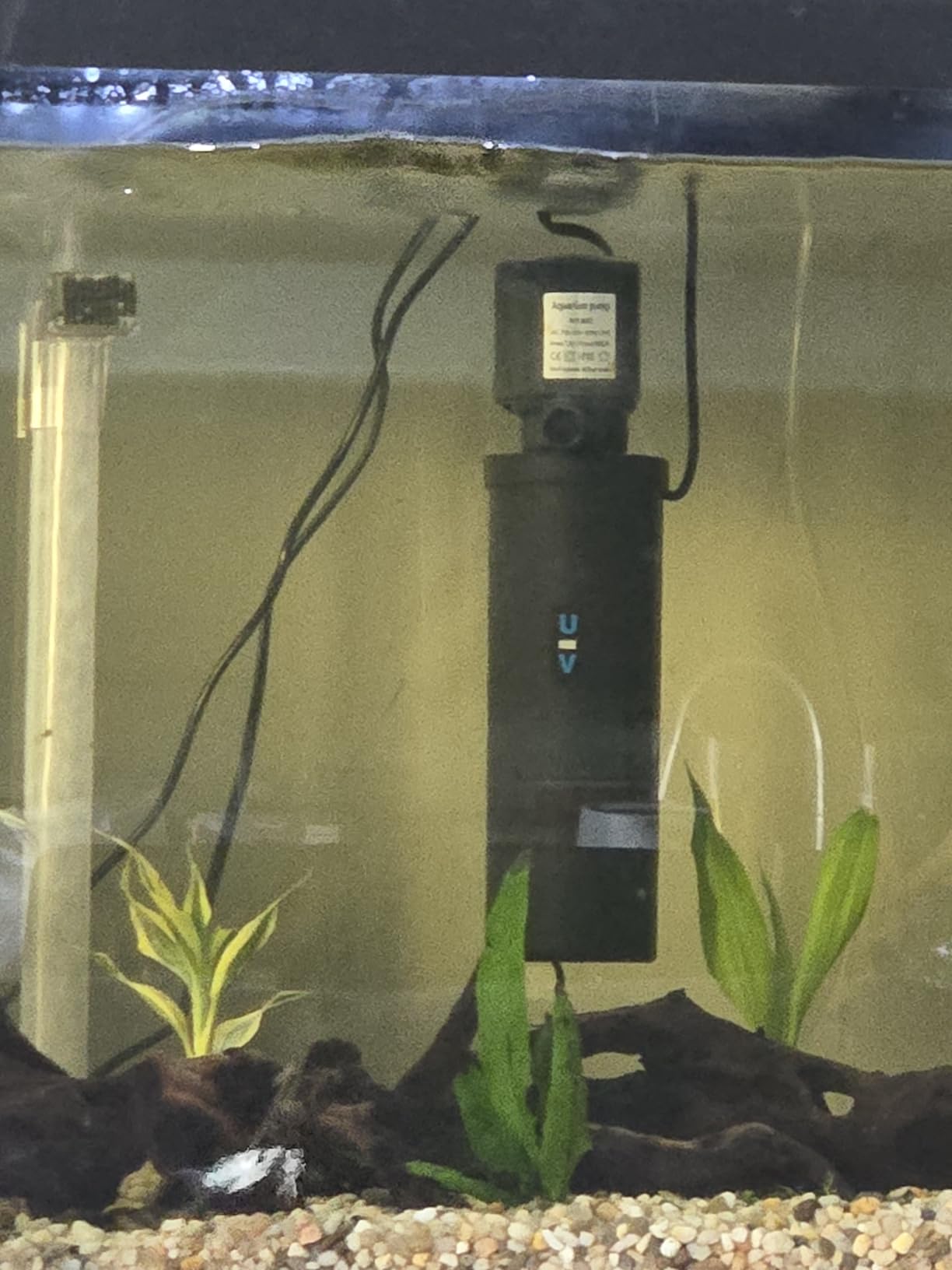 Tetra Complete with Plants 55 Gallon Fish Tank Kit, Freshwater & Saltwater | Aquarium Kit Includes LED Lights, 55 Gallon Glass Tank With 2 Hinged Hoods, Filter & Cartridges, Heater, Plants, Samples, Net customer photo 1