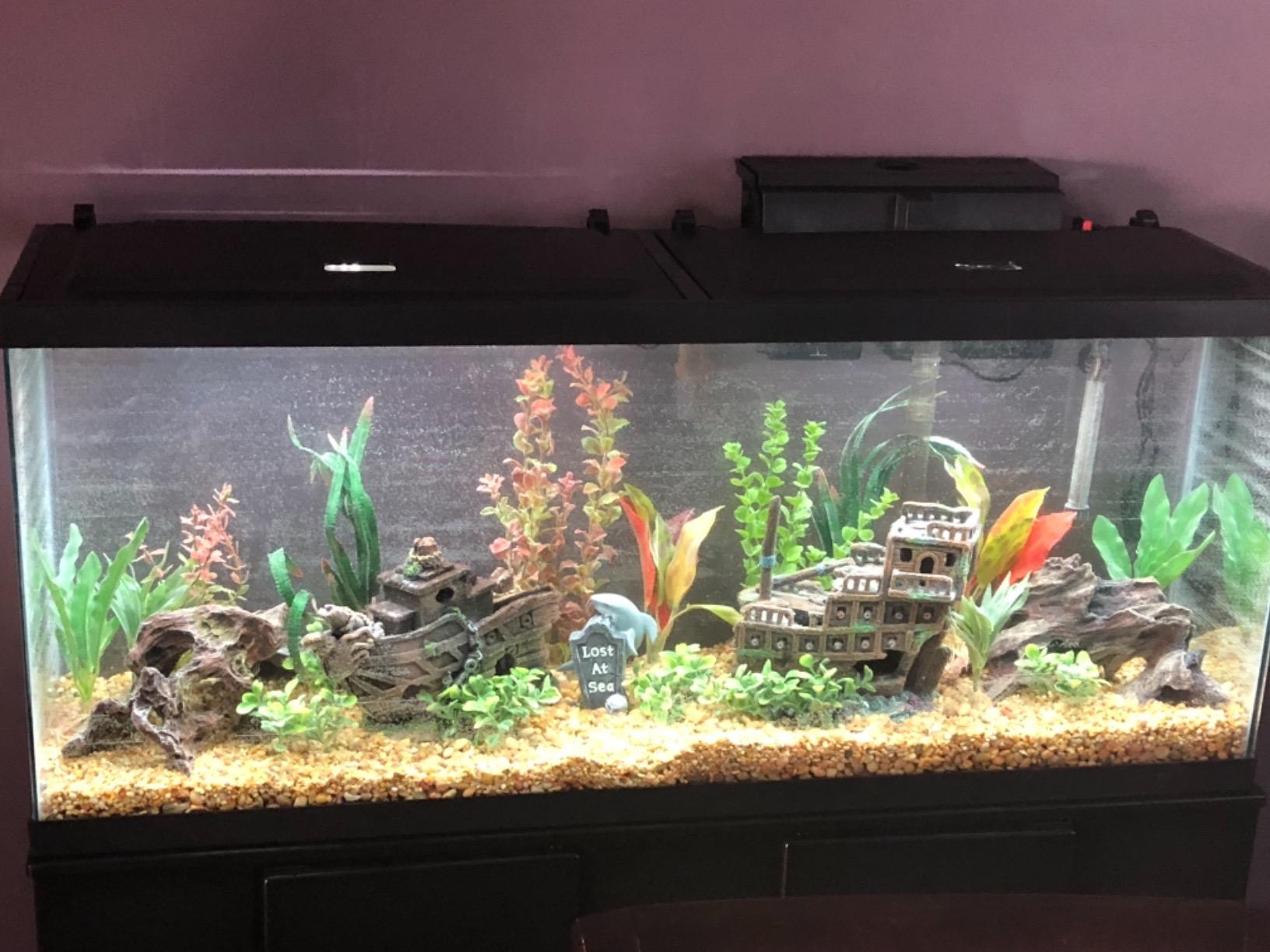Tetra Complete with Plants 55 Gallon Fish Tank Kit, Freshwater & Saltwater | Aquarium Kit Includes LED Lights, 55 Gallon Glass Tank With 2 Hinged Hoods, Filter & Cartridges, Heater, Plants, Samples, Net customer photo 2