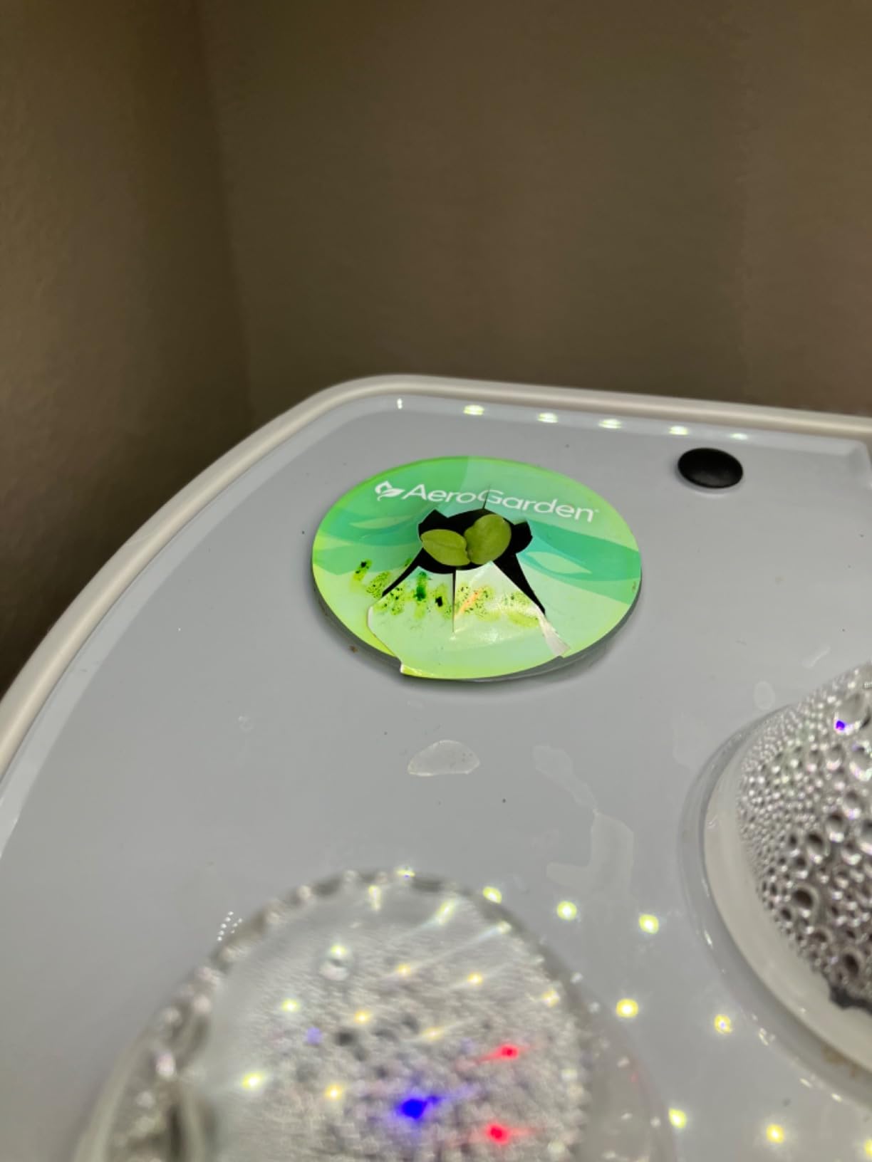 AeroGarden Harvest Elite, Stainless Steel | Indoor Garden with LED Grow Light and Seed Pod Kit customer photo 2