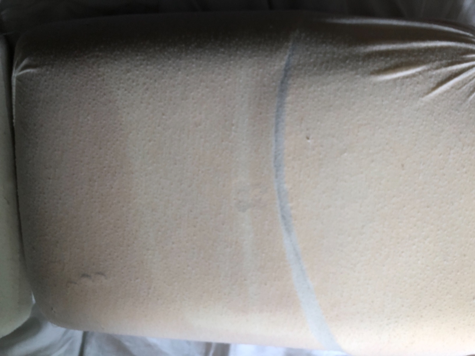 Tempur-Pedic TEMPUR-Cloud Pillow for Sleeping, Standard, White customer photo 2
