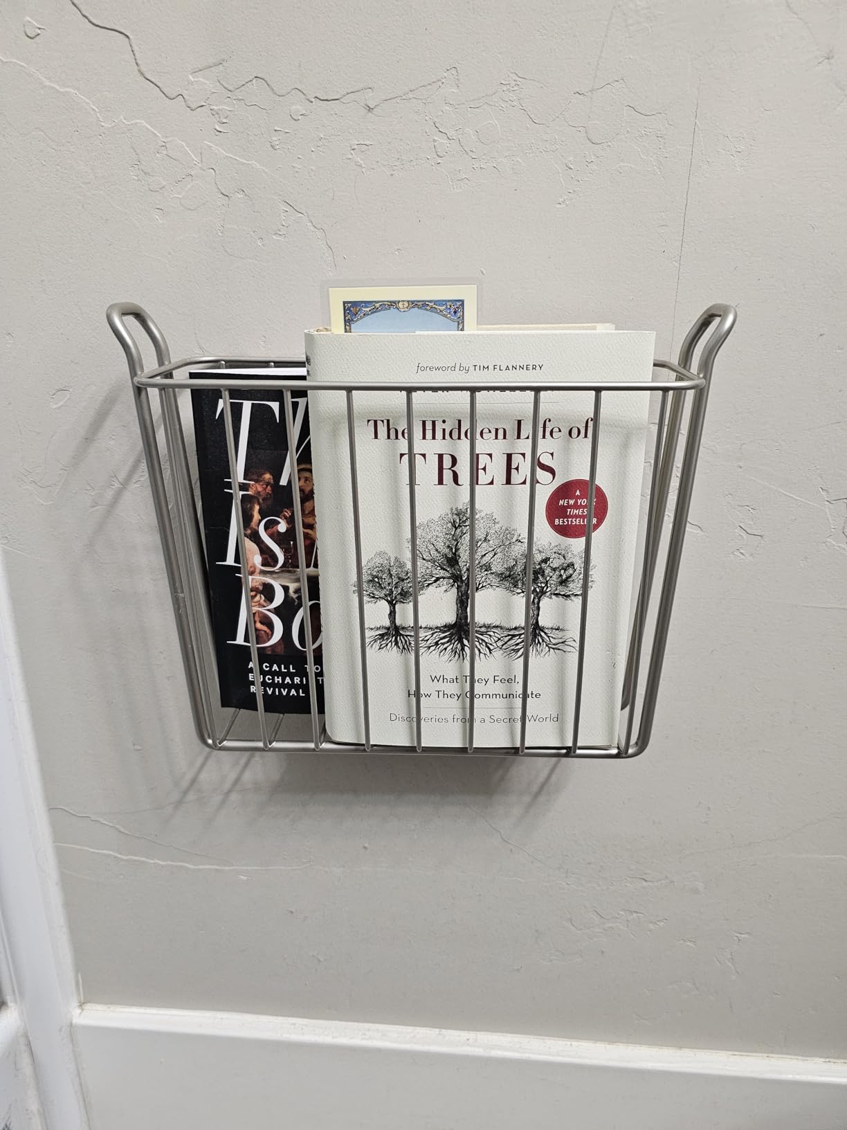 mDesign Metal Wall Mount Decorative Magazine Rack Organizer Bin Holder, Basket for Living Room, Bathroom, Bedroom, Home Office - Holds Books, Newspapers, Tablets - Concerto Collection - Graphite Gray customer photo 1