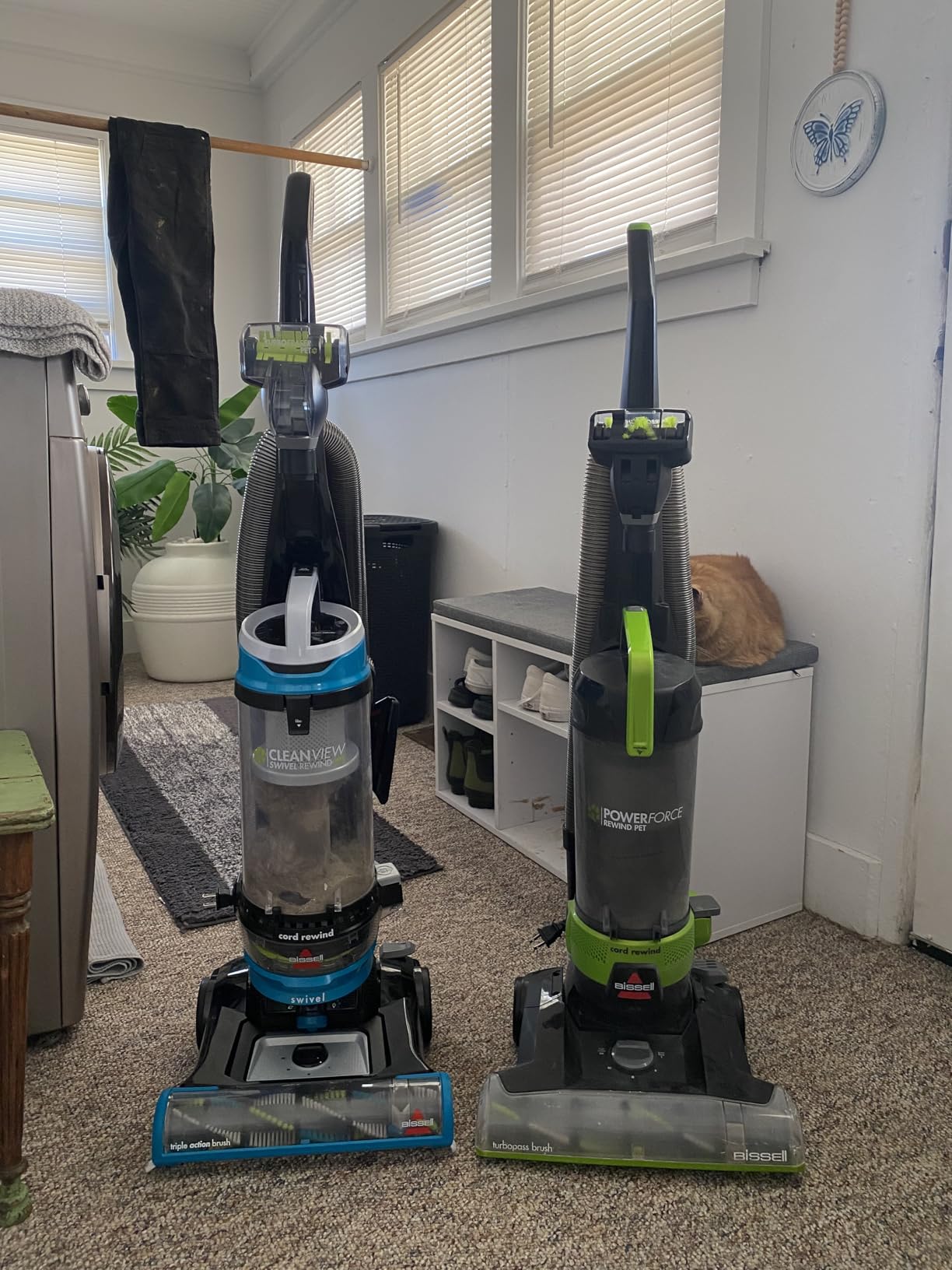 Bissell 2254 CleanView Swivel Rewind Pet Upright Bagless Vacuum, Automatic Cord Rewind, Swivel Steering, Powerful Pet Hair Pickup, Specialized Pet Tools, Large Capacity Dirt Tank, Teal customer photo 2
