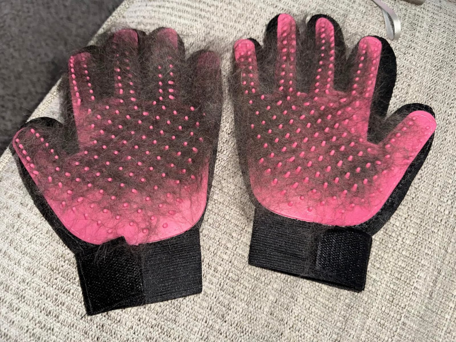 BYETOO Pet Dog Cat Grooming Glove with 261Tips,Gentle Deshedding Brush Glove,Efficient Pet Hair Remover Mitt,Massage Tool with Enhanced Five Finger Design,for Dog,Cat,Rabbit,Horse with Long/Short Fur customer photo 1