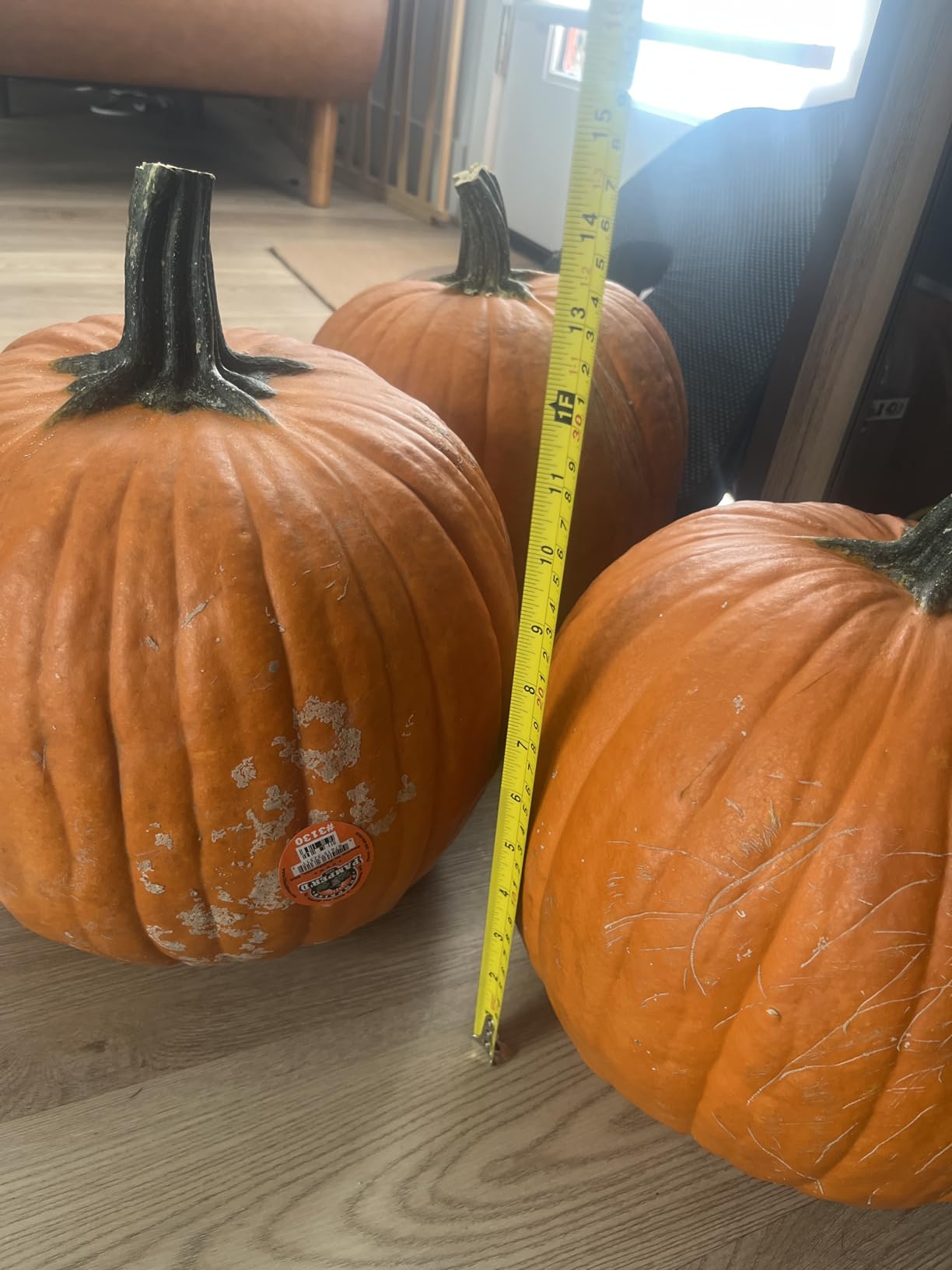 Carving Pumpkin customer photo 1