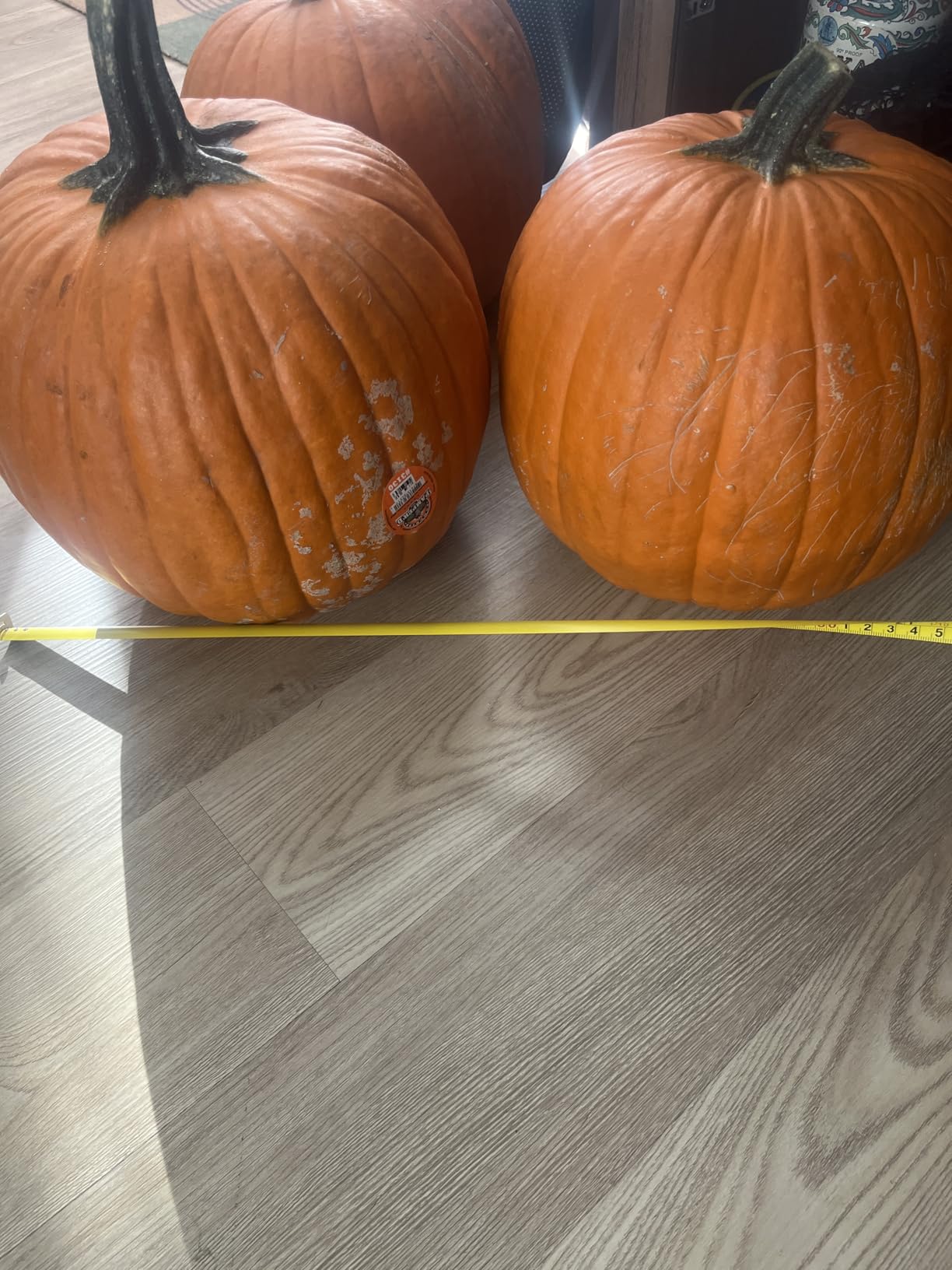 Carving Pumpkin customer photo 2