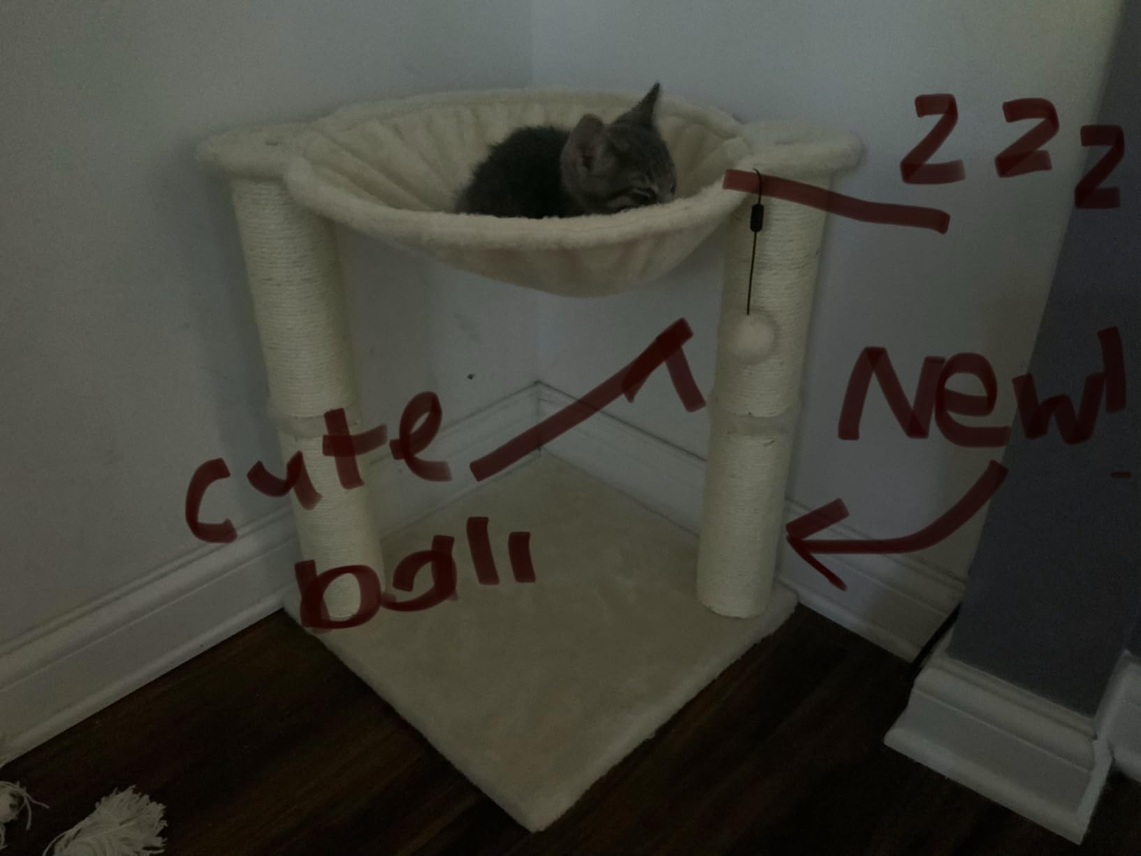 Amazon Basics Cat Tower with Hammock Bed and Scratching Post for Indoor Cats, Easy to Assemble, Interactive Hanging Ball, 15.8