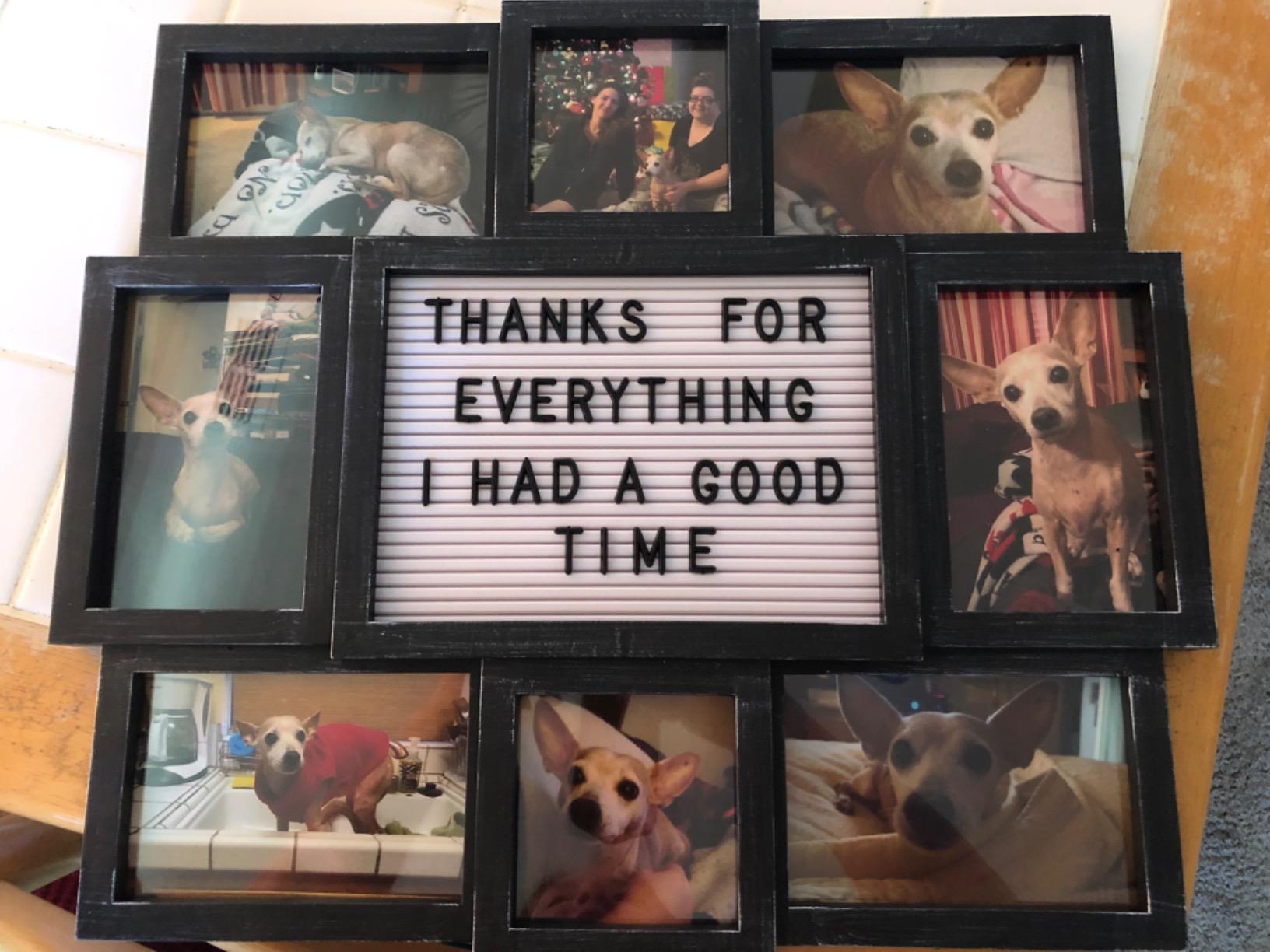 MELANNCO Collage Picture Frame with Letter Board, 8 Opening Photo Display for 4x6 and 4x4 Photos, 19 x 17 Inch Wall Decor, Distressed Black Plastic customer photo 2