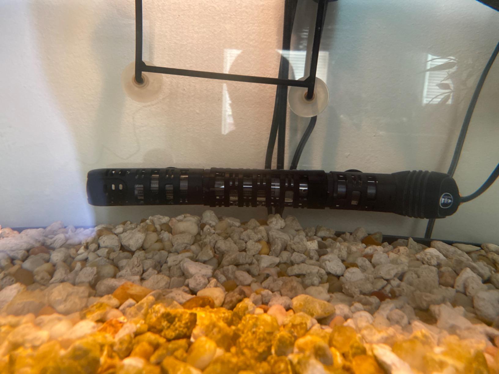 Orlushy Submersible Aquarium Heater, Adjustable Fish Tank Heater with Free Thermometer Suitable for Marine Saltwater and Freshwater customer photo 1