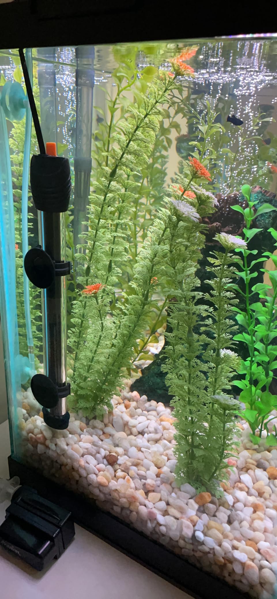 Orlushy Submersible Aquarium Heater, Adjustable Fish Tank Heater with Free Thermometer Suitable for Marine Saltwater and Freshwater customer photo 2