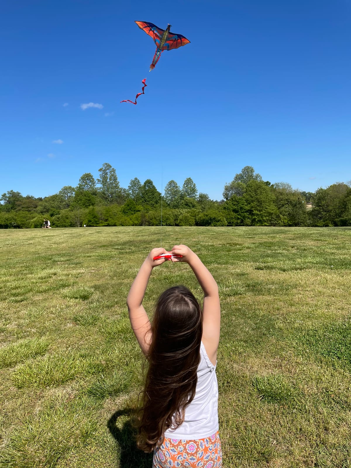 HENGDA KITE-Upgrade Classical Dragon Kite Stereoscopic Dragon Kites for Kids & Adults Easy to Fly for Beginner Easter 63inch Single Line with Tail customer photo 1