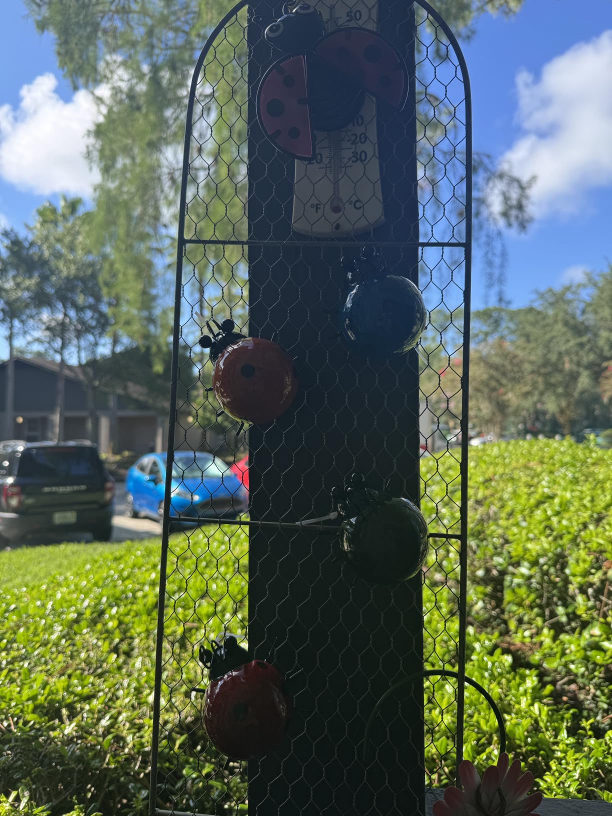 Metal Garden Wall Art Decorative Set of 4 Cute Ladybugs customer photo 1