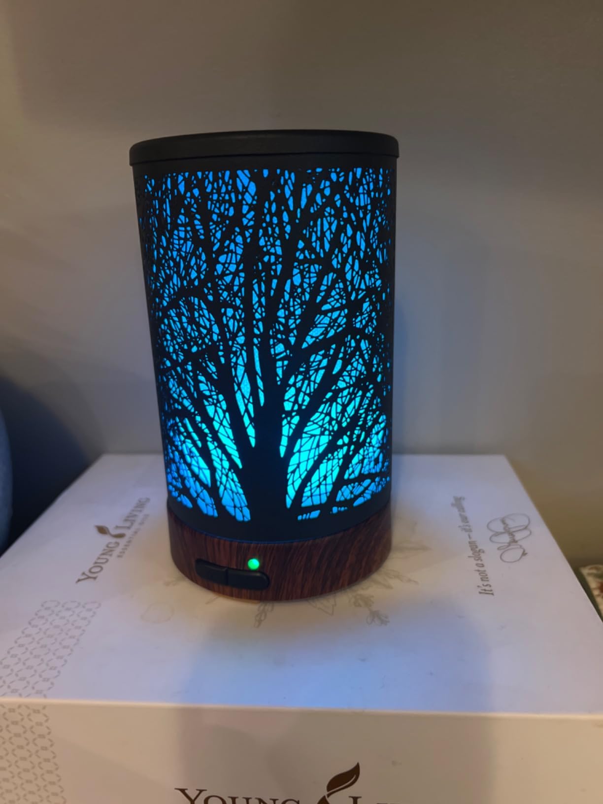 EQUSUPRO Essential Oil Diffuser for Home Fragrance & Aromatherapy 150ml customer photo 2