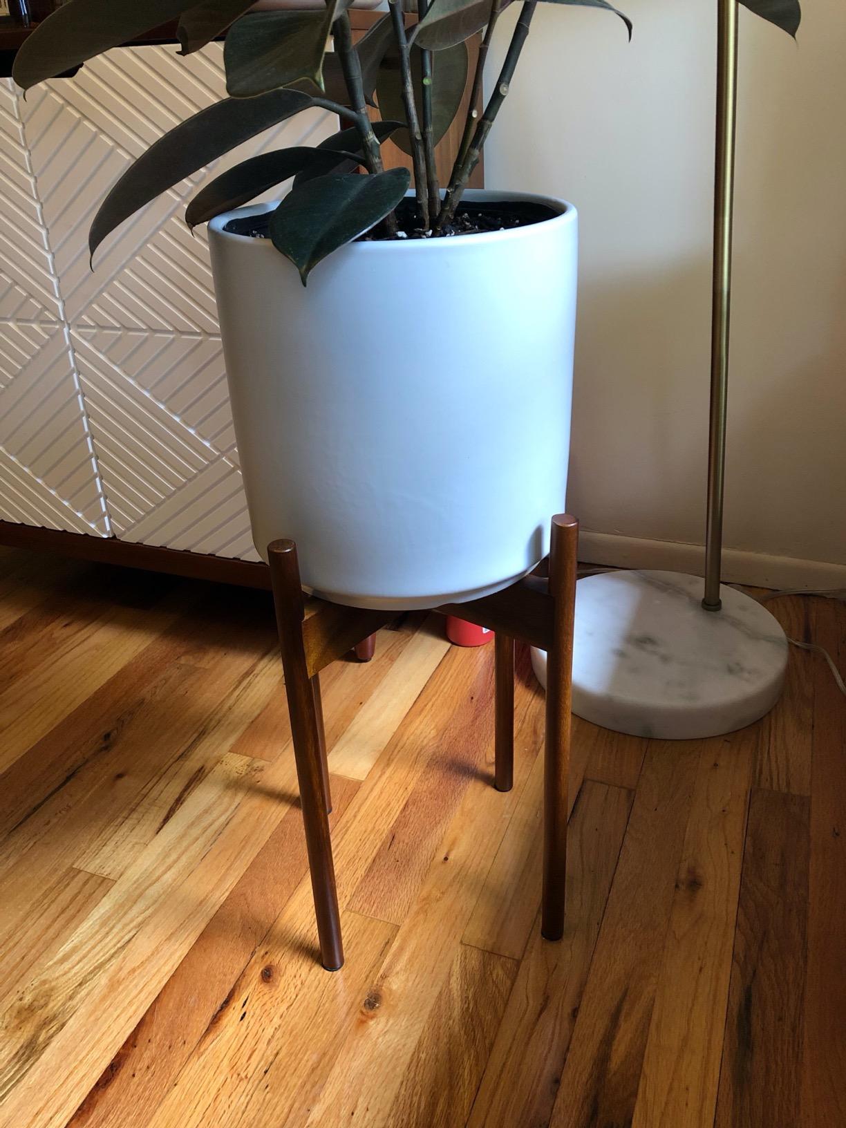 Fox & Fern Mid Century Plant Stands for Indoor Planters, Acacia, 10 Inch customer photo 1