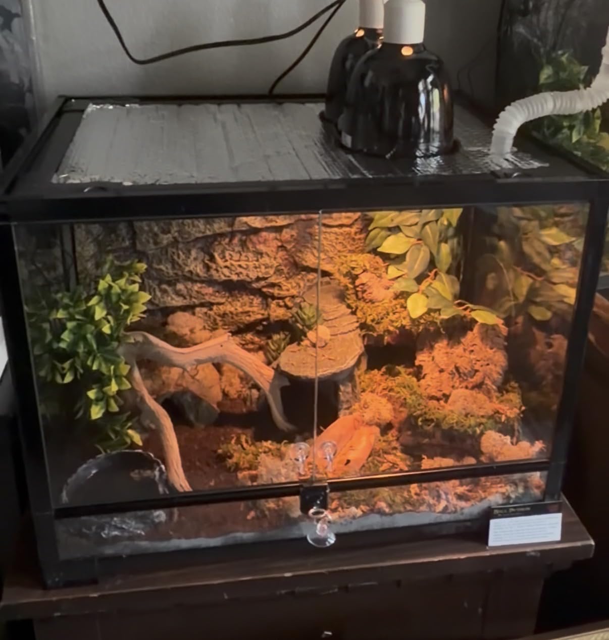 REPTI ZOO 34 Gallon Large Reptile Glass Terrarium Tank with Foam Backgrounds,Double Hinge Door with Screen Ventilation Reptile Terrarium 24