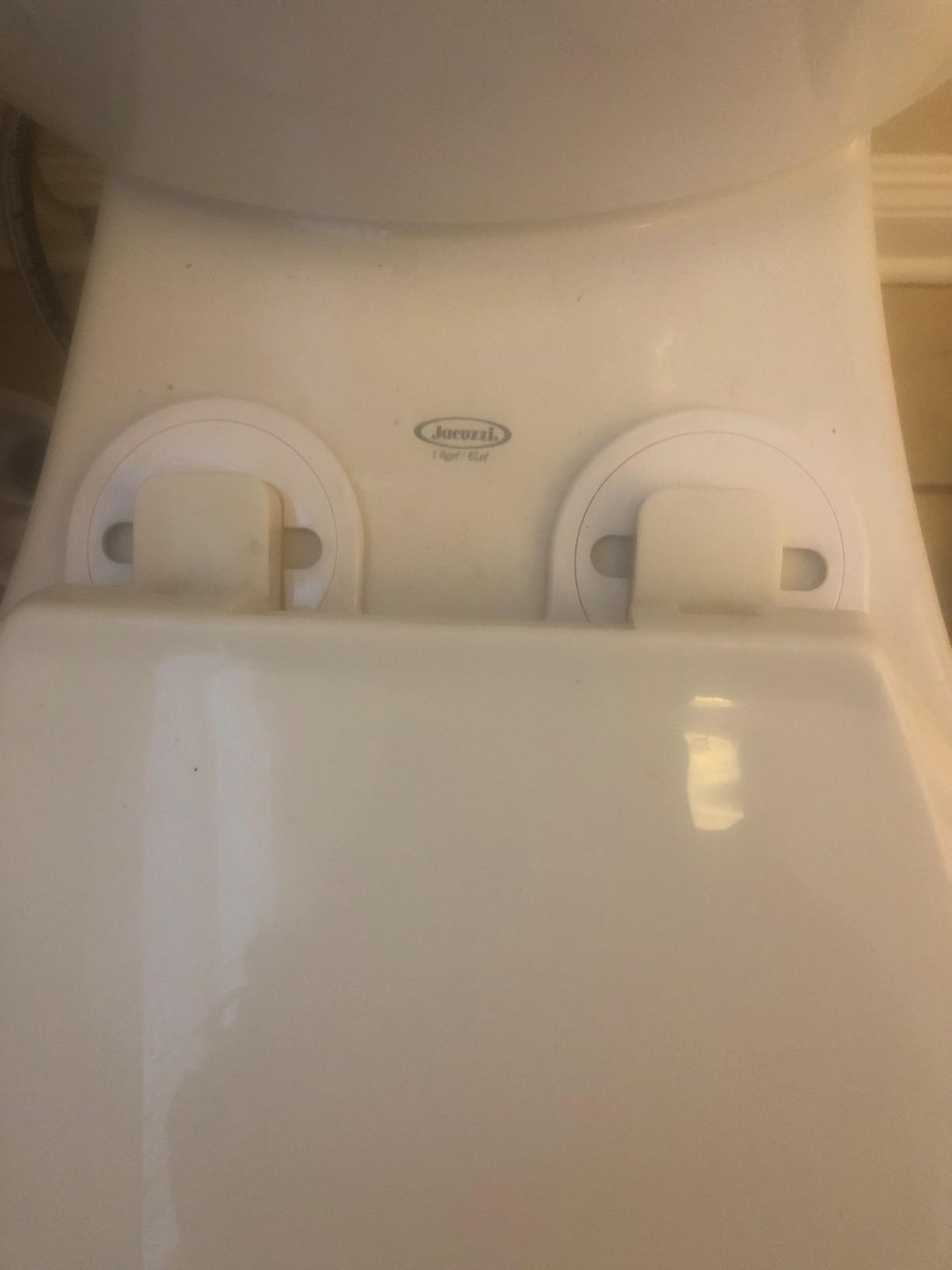 Brondell Bidet Attachment for Toilet SS-250 SimpleSpa Fresh Water Spray with Adjustable Water Pressure Side Arm Control, Slim Bidet Sprayer, Silver Knob (Dual Nozzle) customer photo 1