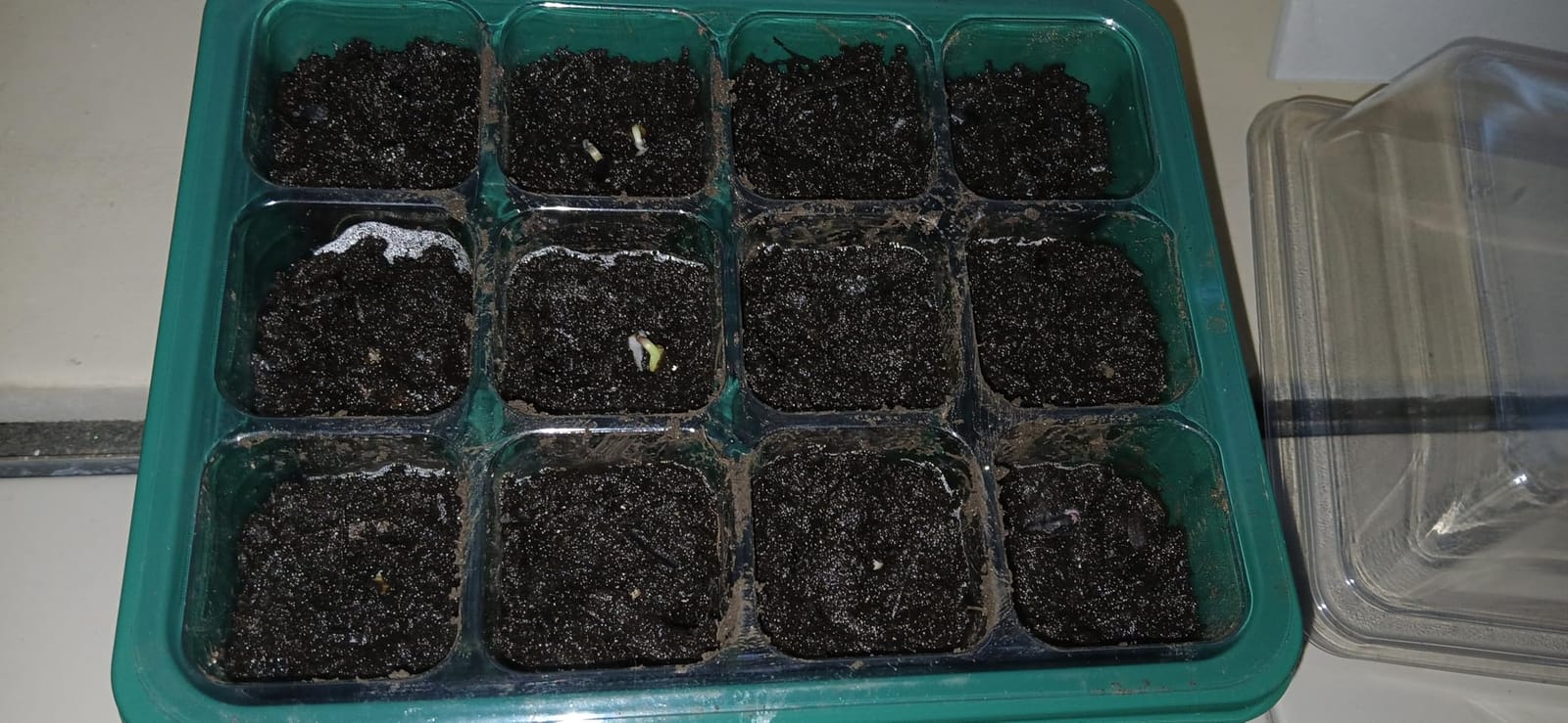 MIXC 10 Pack Seed Starter Tray, 120Cell Stater Kit with Humidity Dome Green customer photo 2