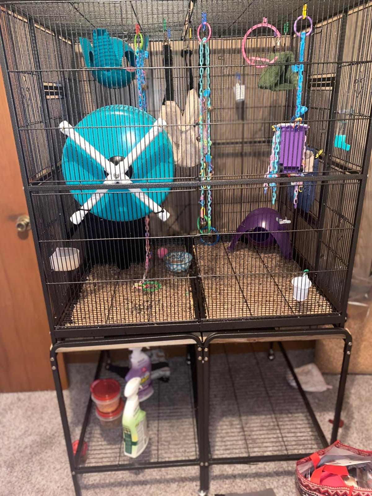 Yaheetech 63-Inch Wrought Iron Rolling Large Bird Cage for African Grey Small Quaker Amazon Parrots Canary Bird Flight Cage customer photo 1