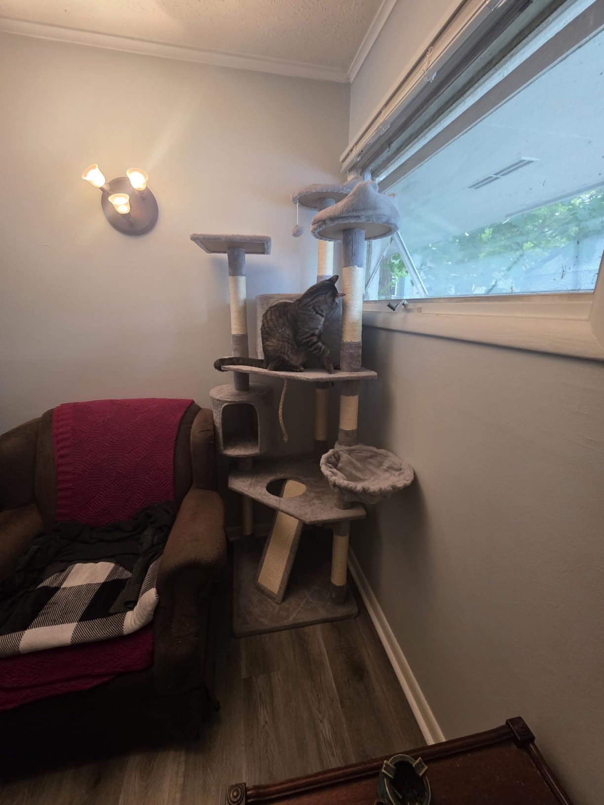 Yaheetech 79in Multi-Level Cat Tree for Multiple Cats with 9 sisal Posts customer photo 2