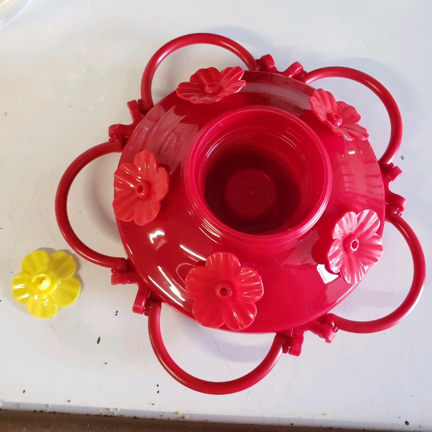 Hummingbird Feeder [Set of 2] Leakproof Clear Plastic 10 oz Wide Mouth. customer photo 2